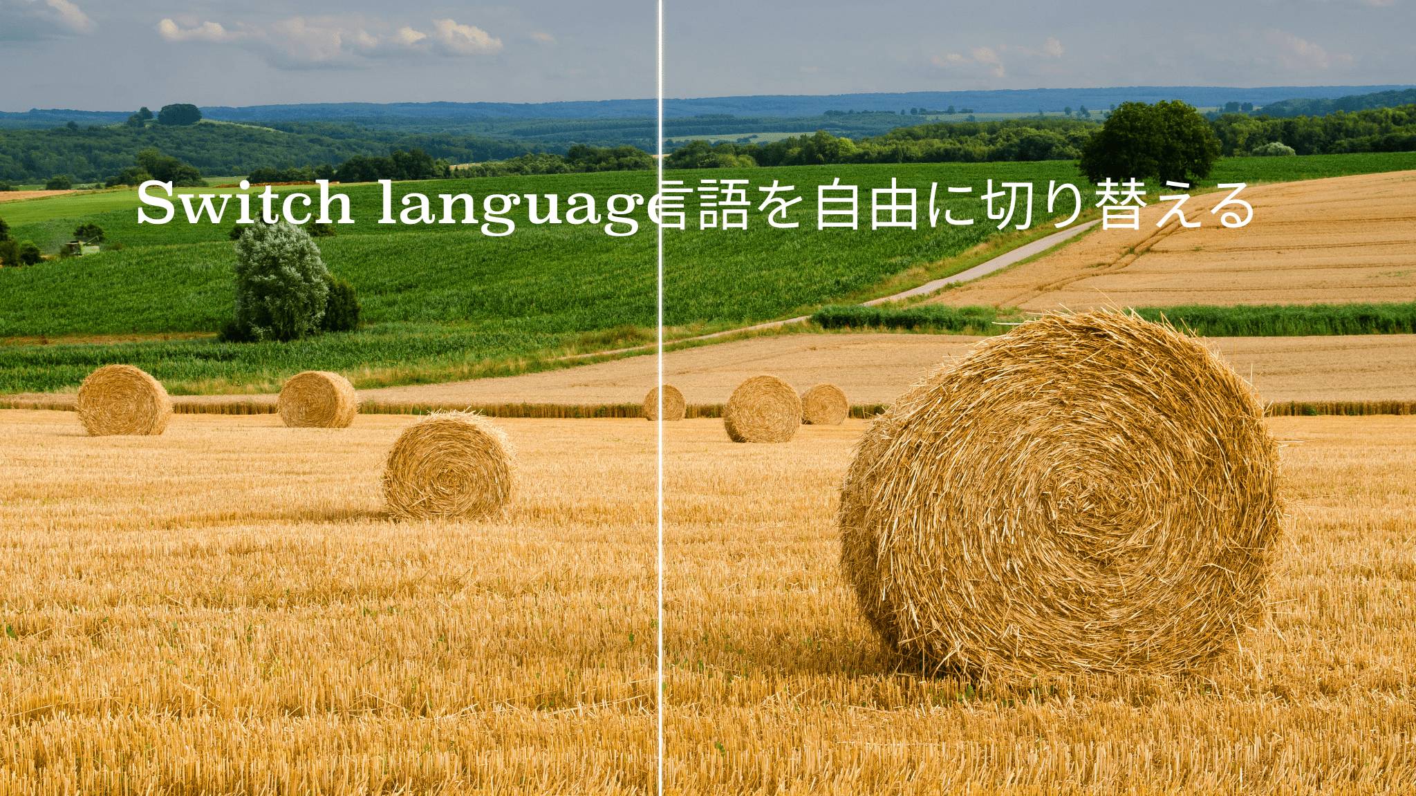 AI 驱动,精准翻译