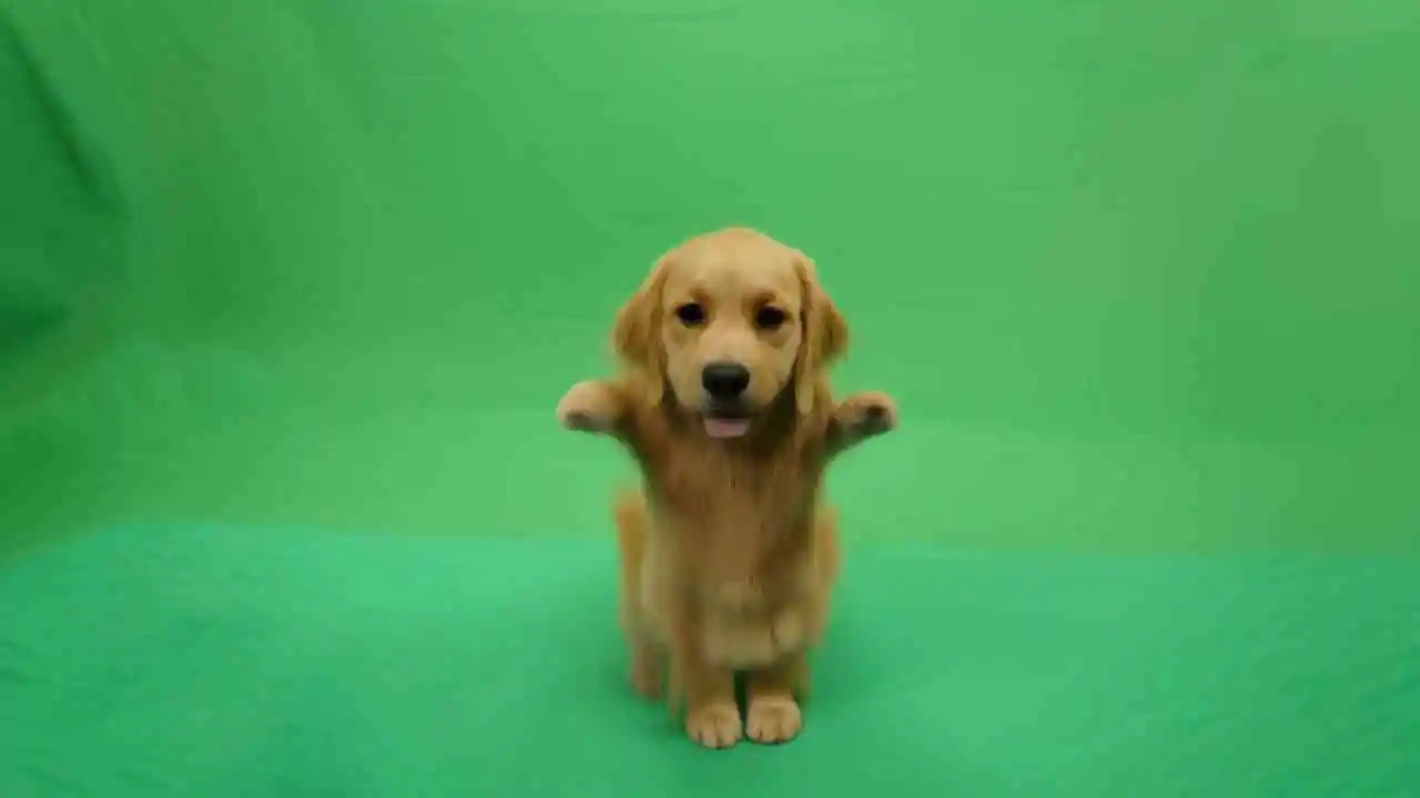 Vroom Vroom Step AI Video Generator