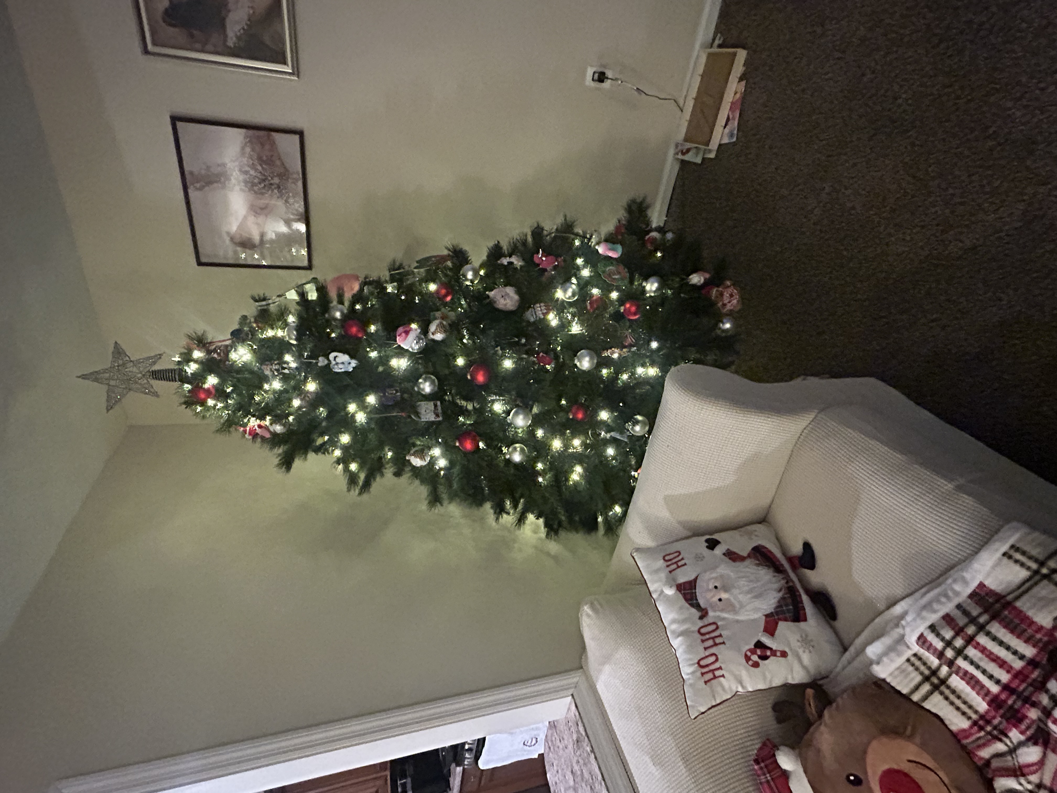 Reference image 1 for SEEDANCE_1_PRO_FAST generation