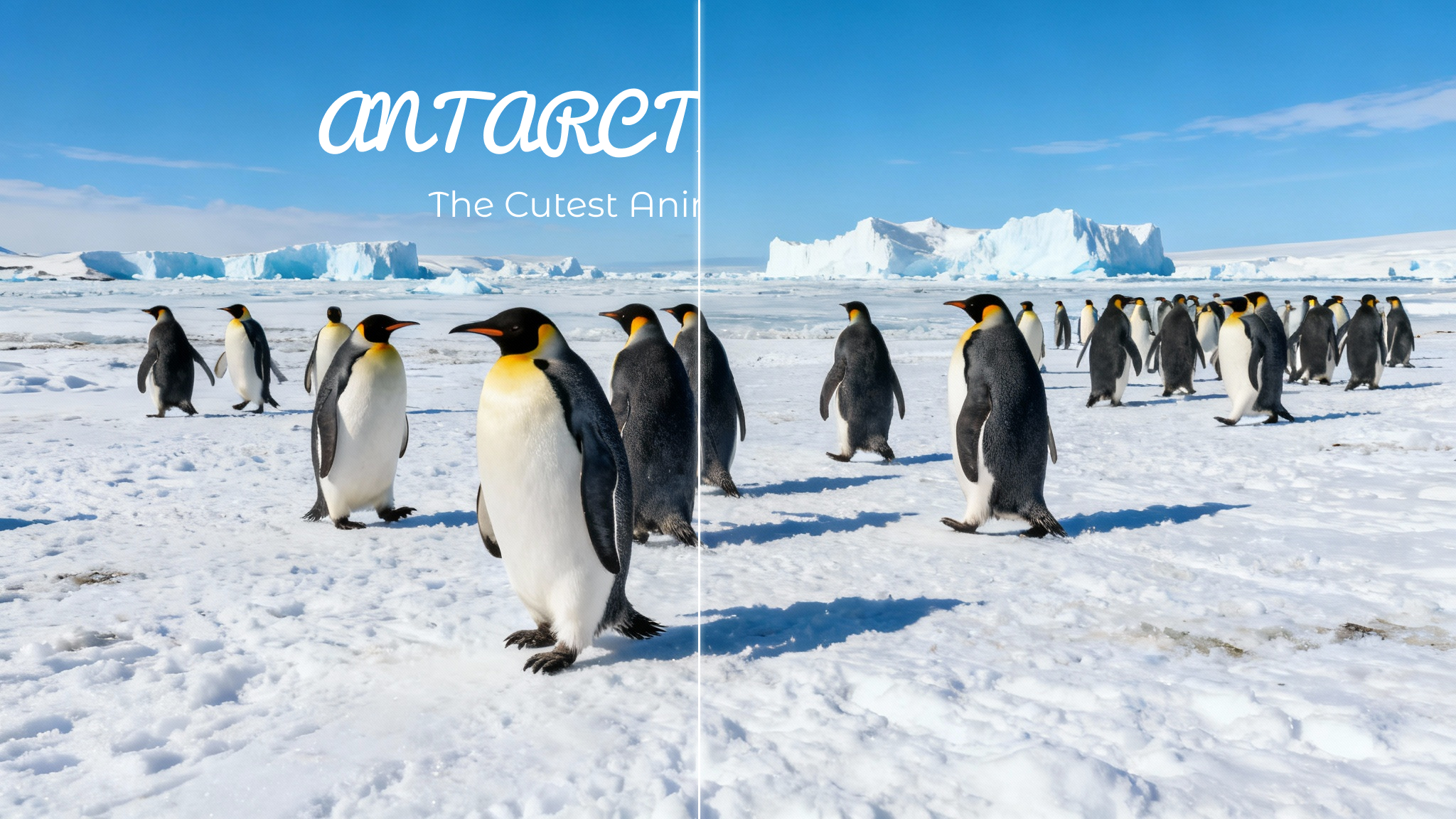 多场景适用,释放素材潜力