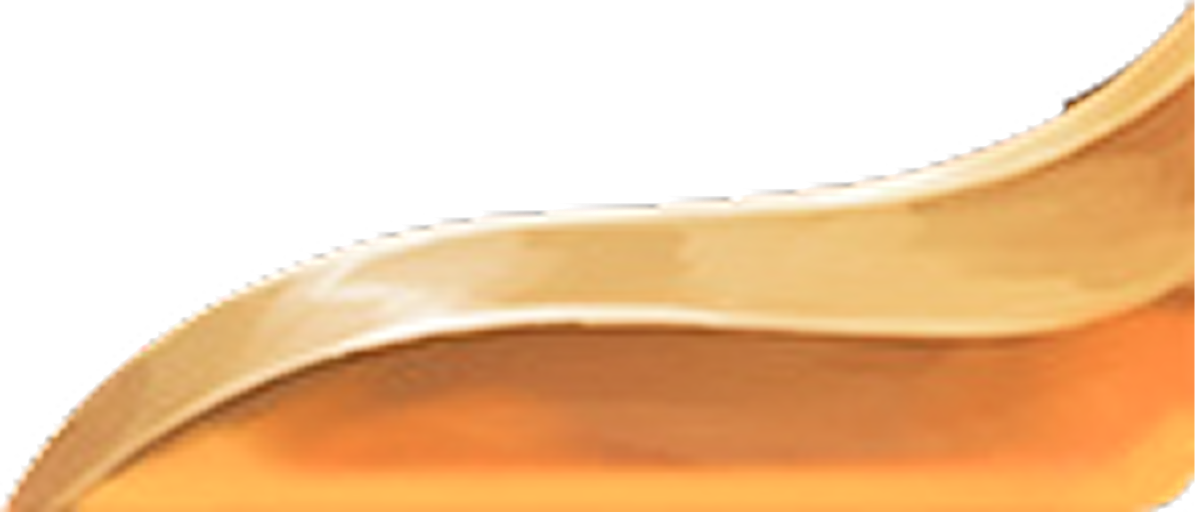 Reference image 1 for NANO_BANANA generation