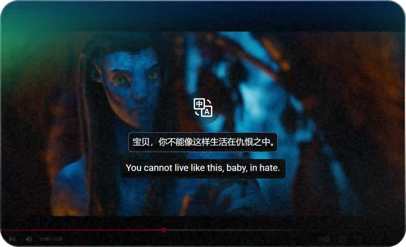 Video Subtitle Translation