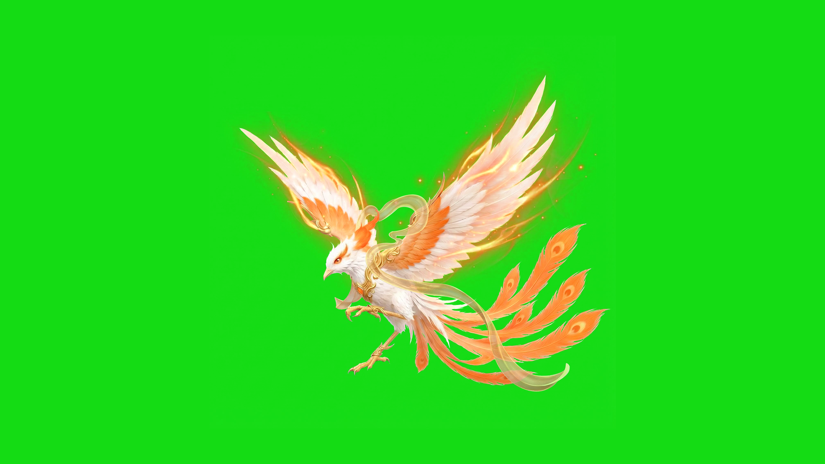 Reference image 1 for VEO_3_1 generation