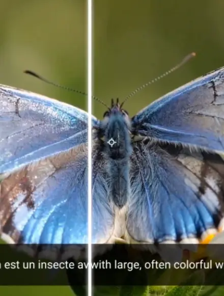 AI Video Subtitle Translation