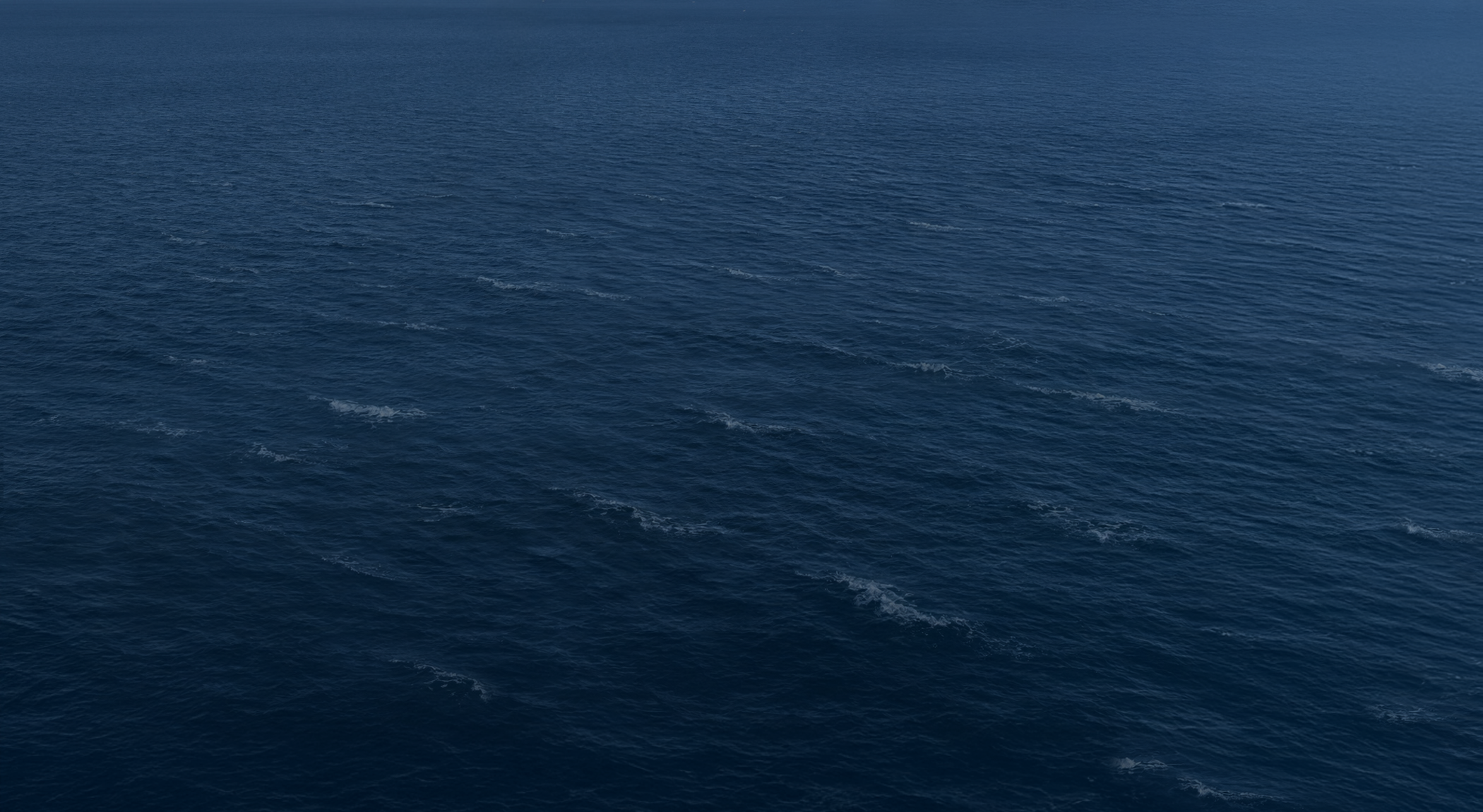 Reference image 1 for WERYAI_VIDEO_1_0 generation