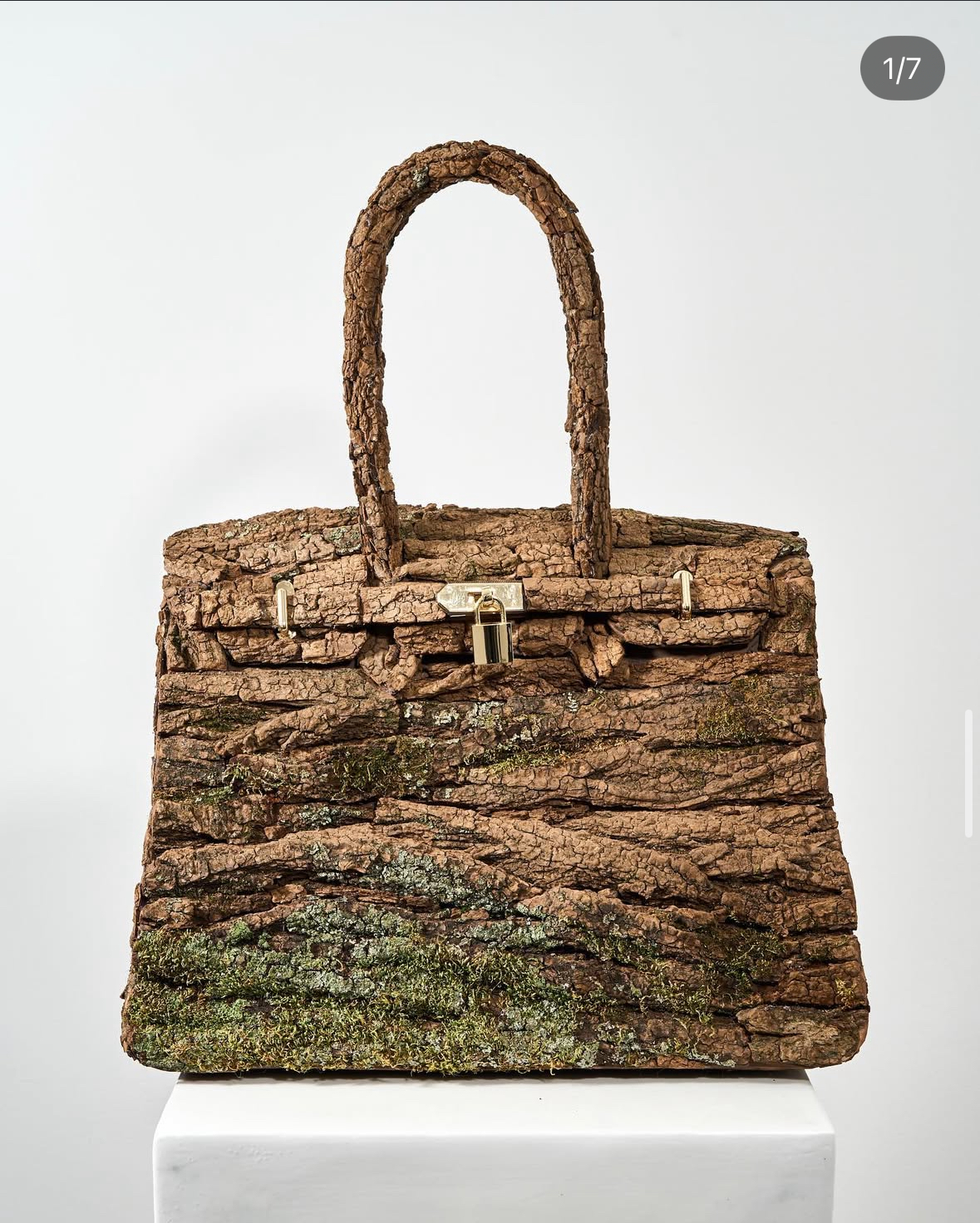 Reference image 2 for NANO_BANANA_PRO generation