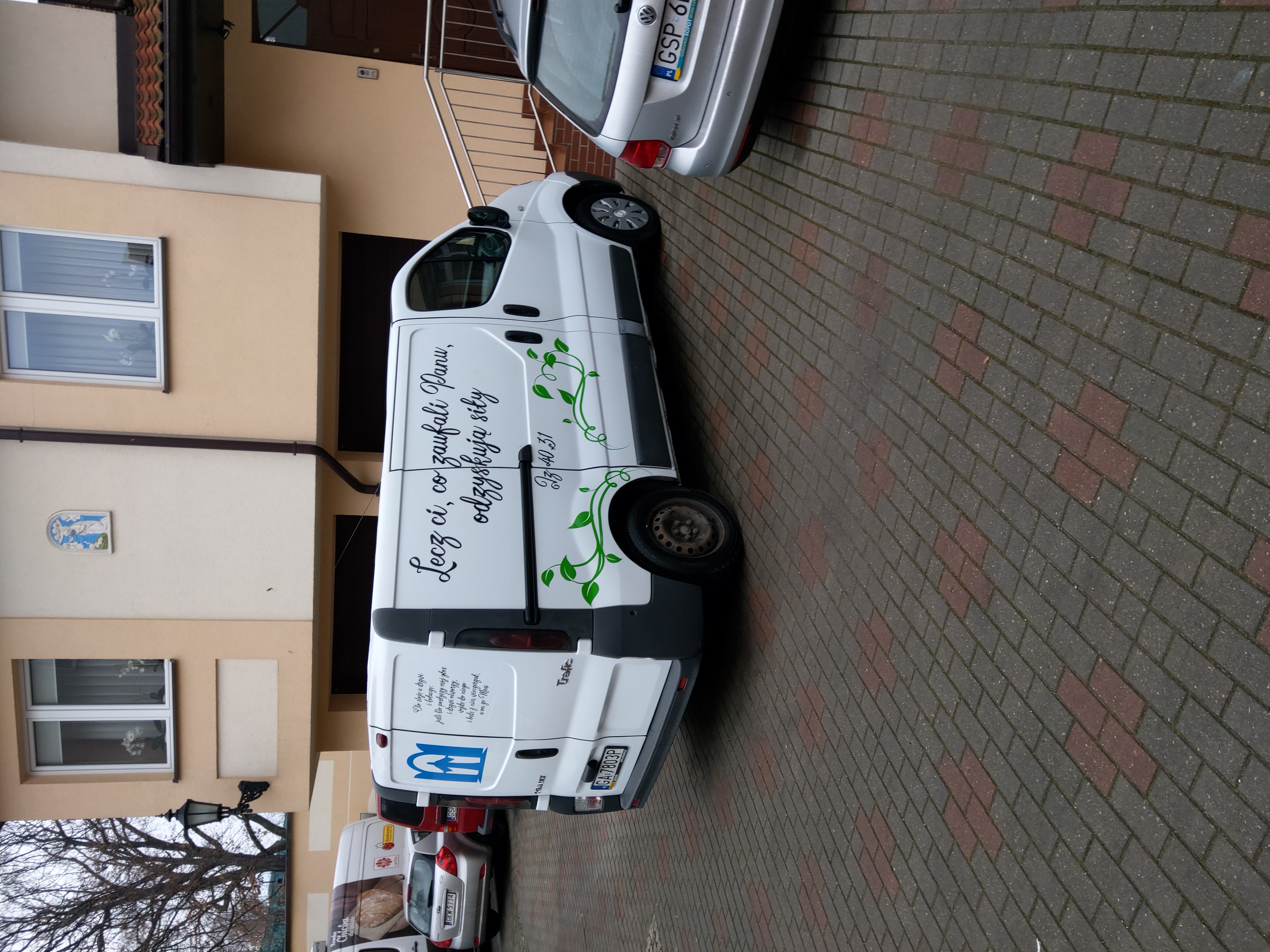 Reference image 1 for HAILUO_2_3_STA_FAST generation