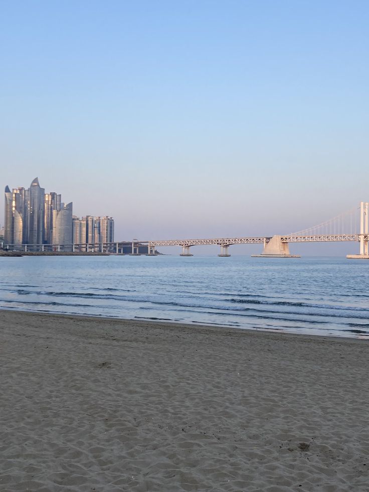 Reference image 2 for NANO_BANANA_PRO generation