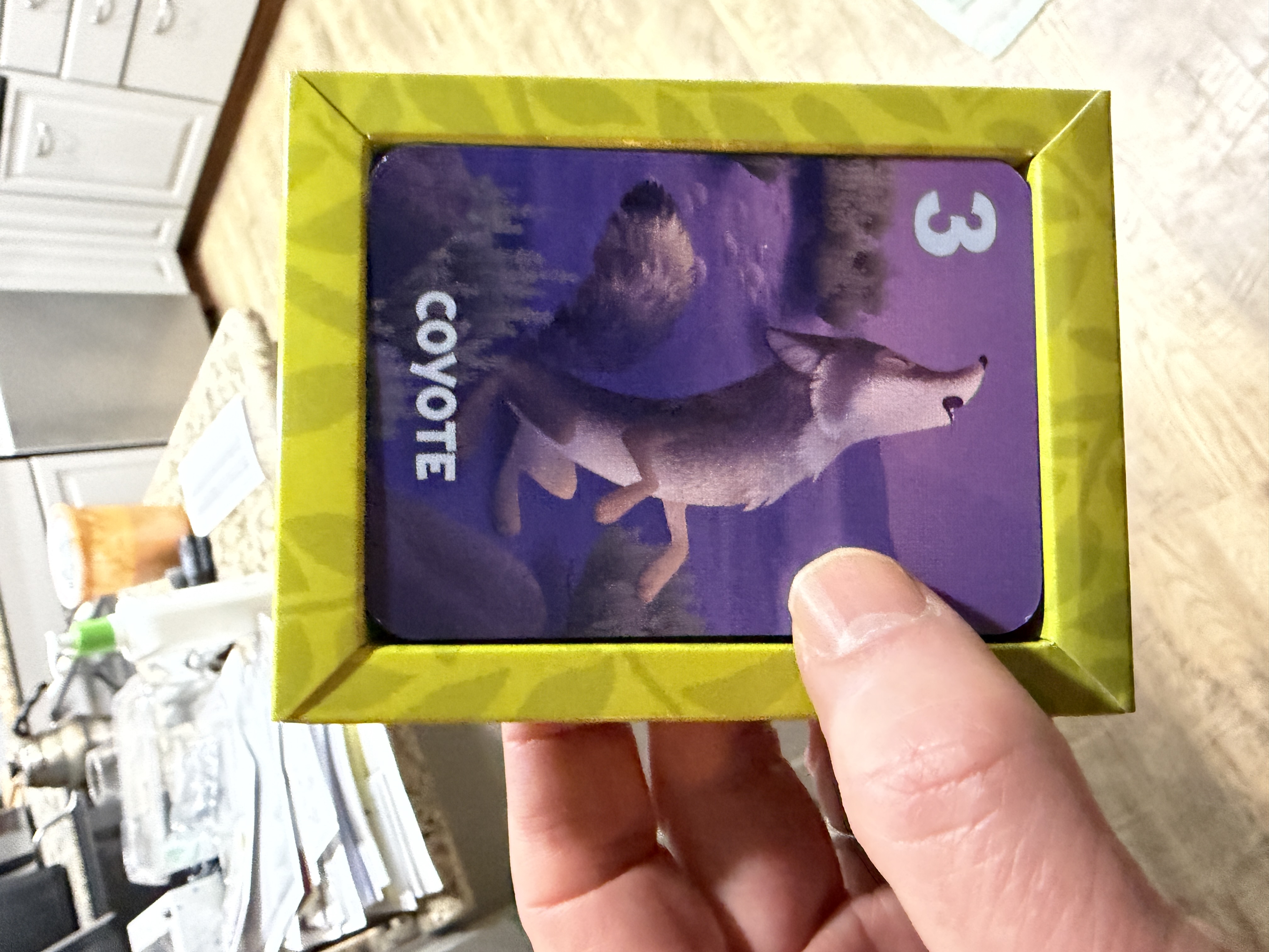 Reference image 4 for NANO_BANANA_PRO generation