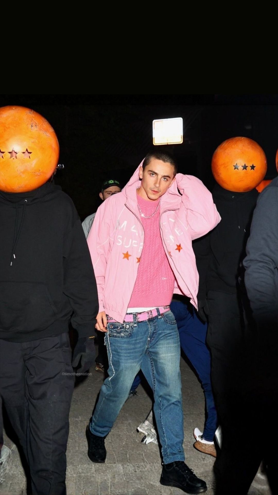 Reference image 2 for NANO_BANANA_PRO generation