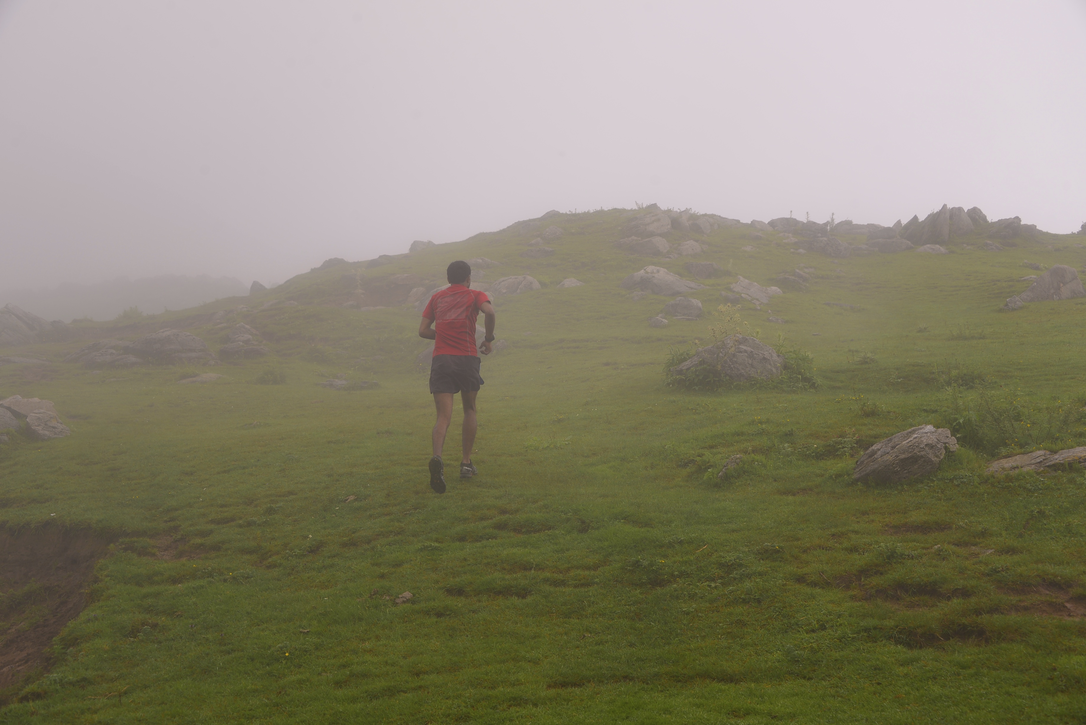 Reference image 1 for RUNWAY_4_5 generation