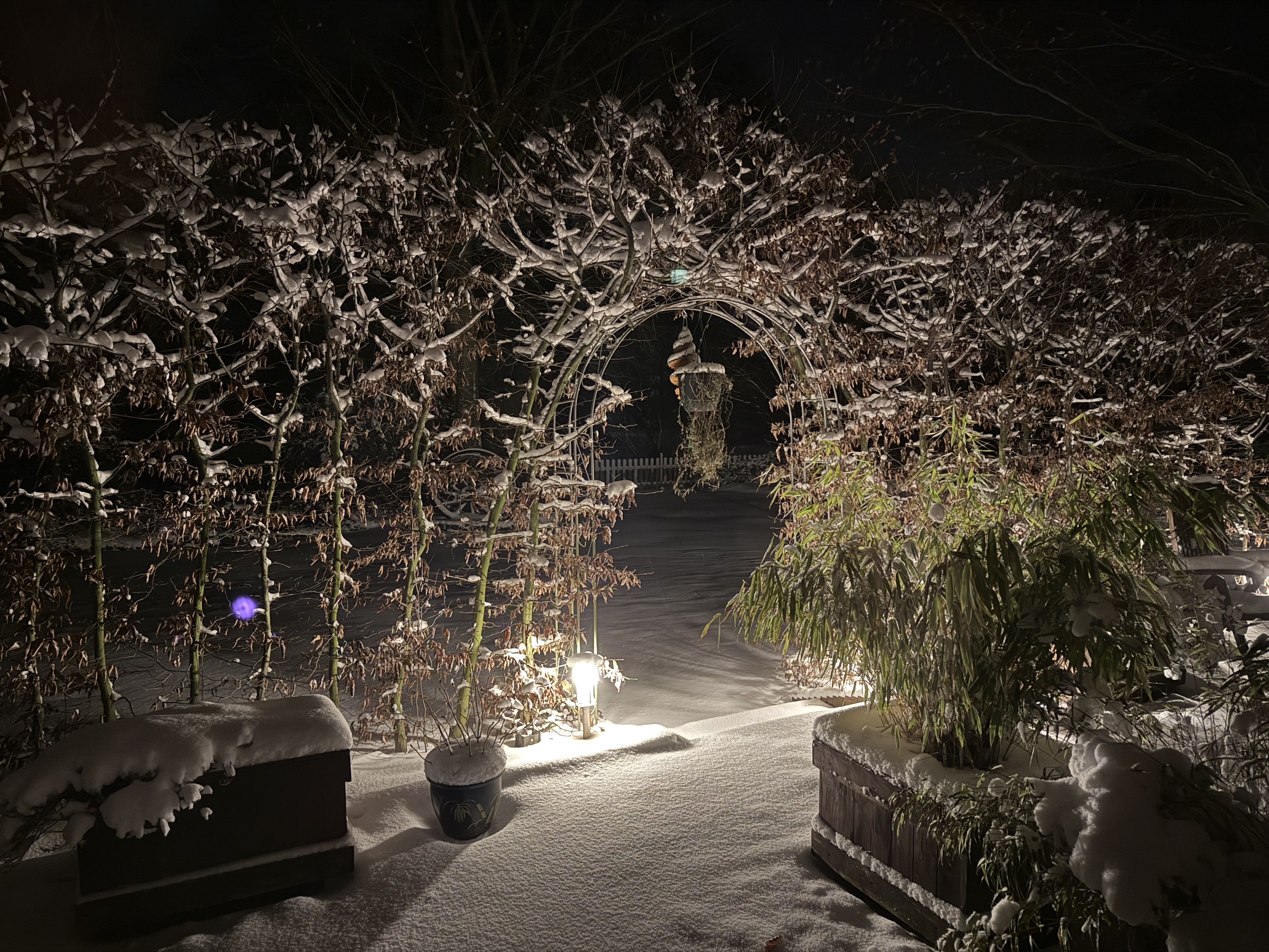 Reference image 1 for PIKA_2_2 generation