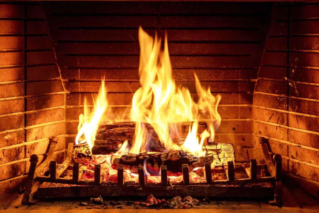 Reference image 1 for VEO_3_1 generation