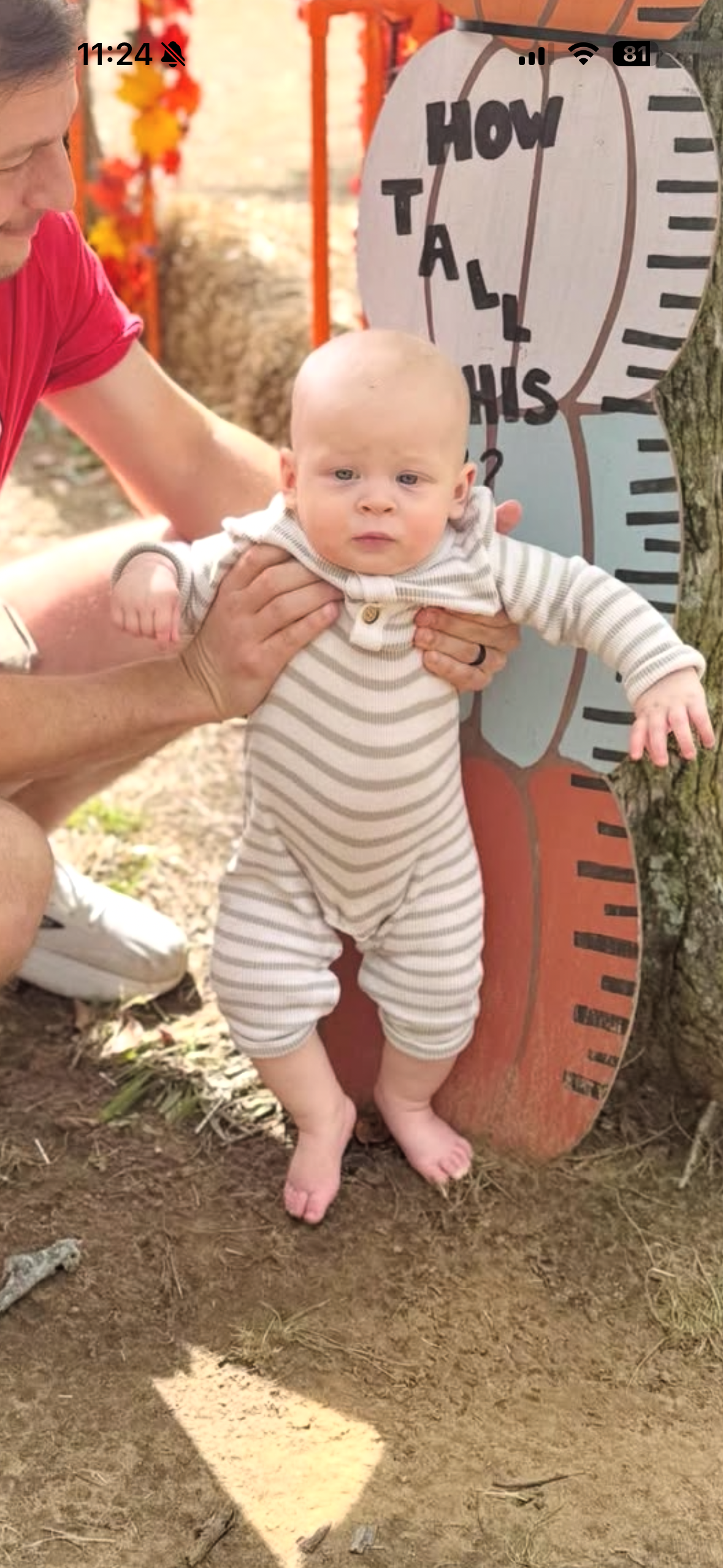 Reference image 1 for HAILUO_2_3_STA_FAST generation