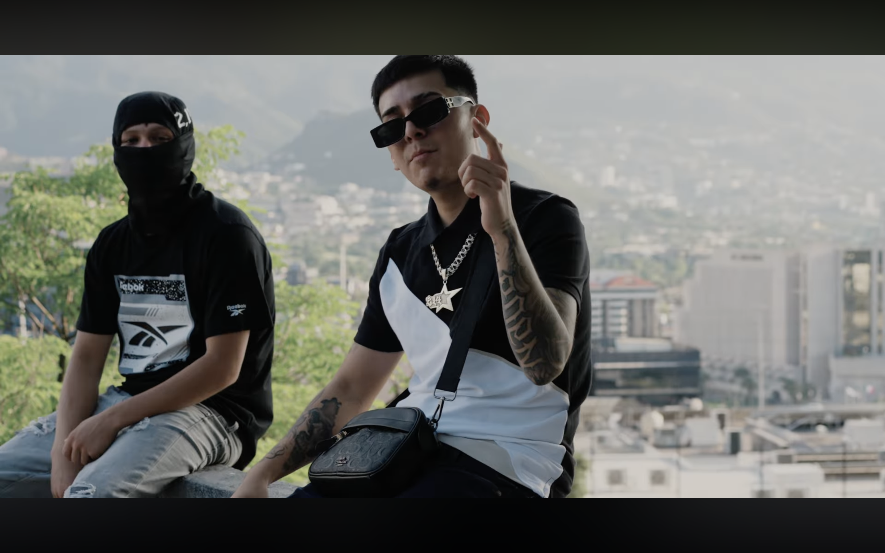 Reference image 1 for DOUBAO_1_5_PRO generation