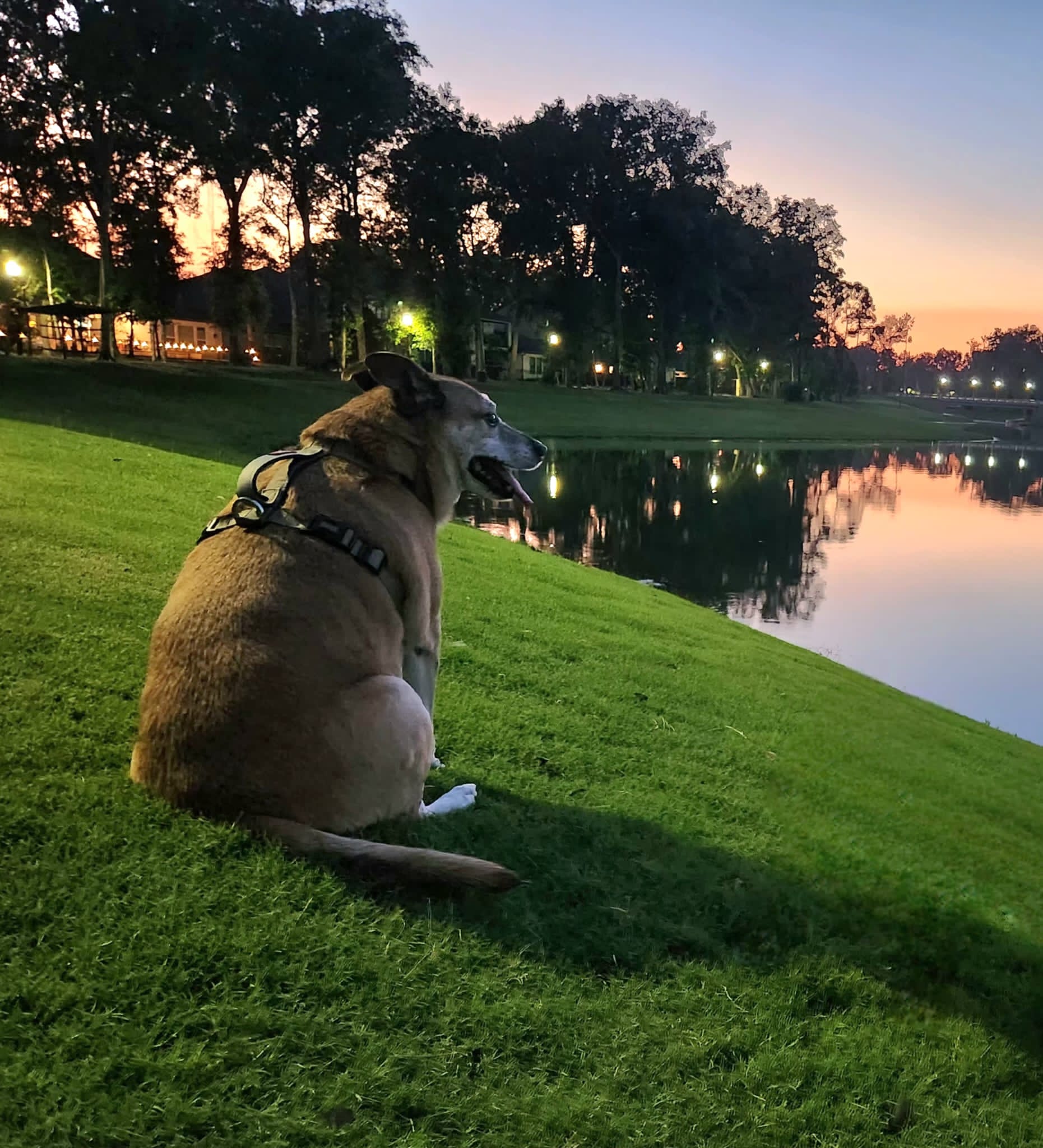 Reference image 1 for WERYAI_VIDEO_1_0 generation