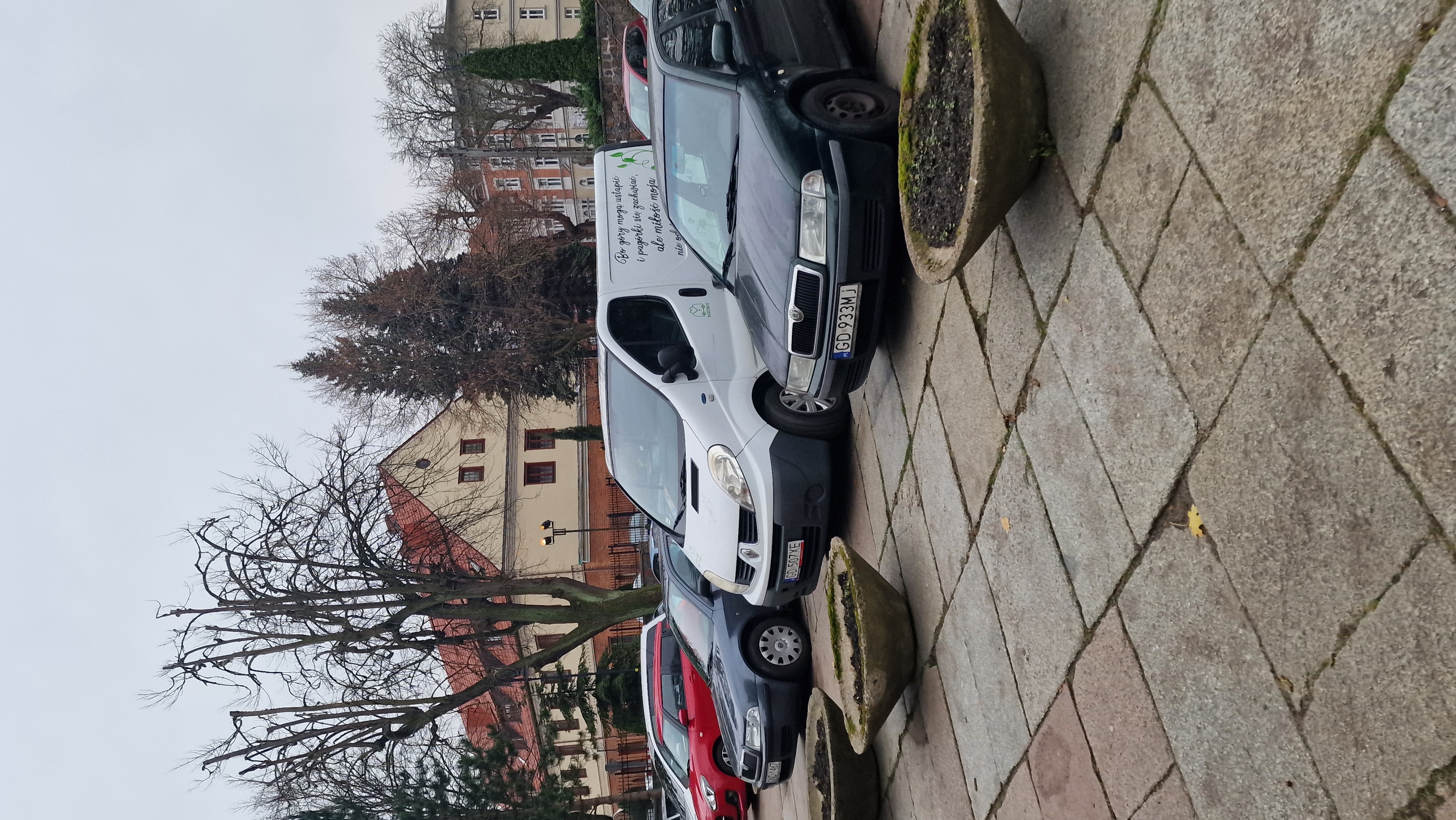 Reference image 1 for VEO_3_1_FAST generation