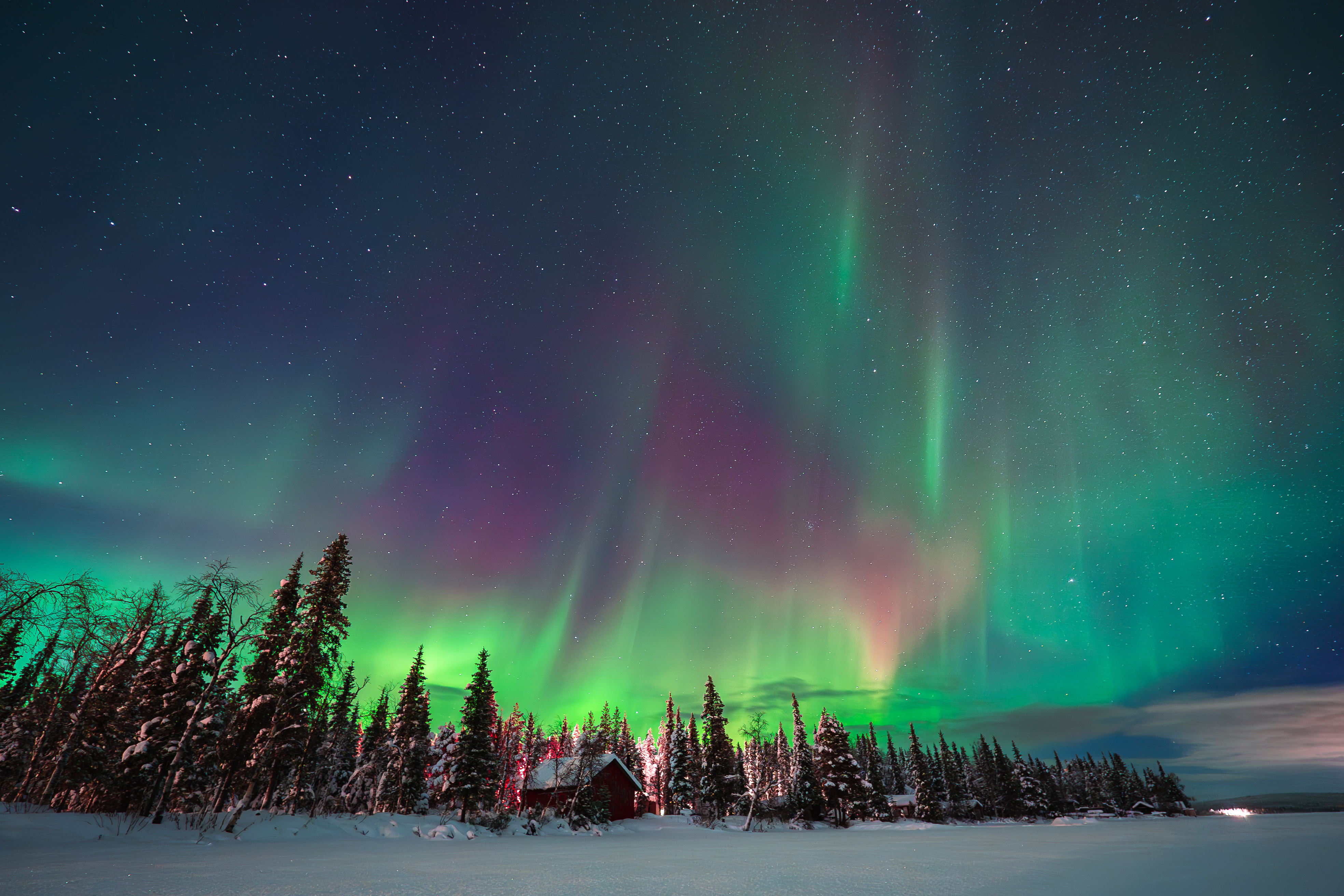 Reference image 1 for NANO_BANANA_PRO generation