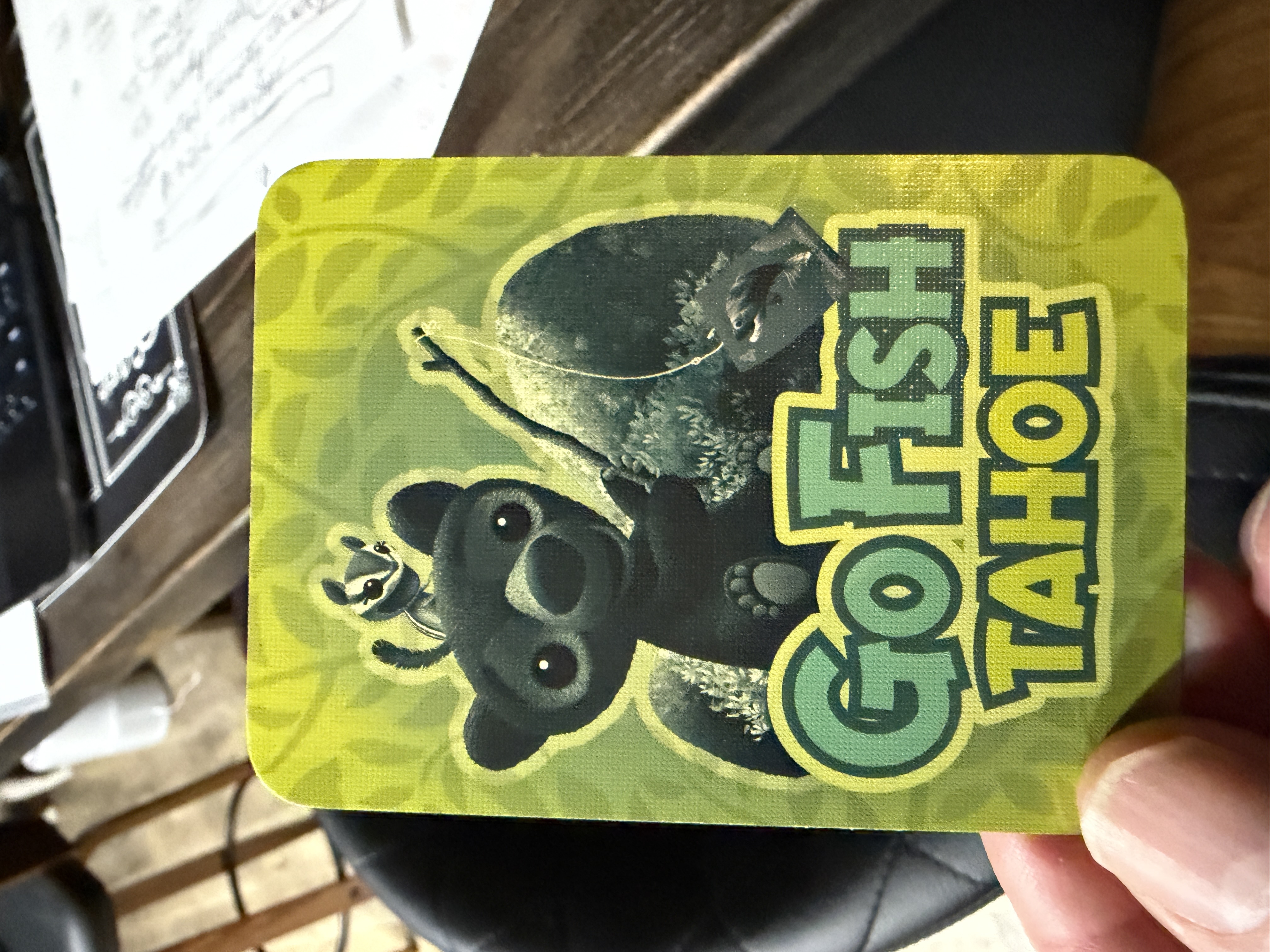 Reference image 7 for NANO_BANANA_PRO generation