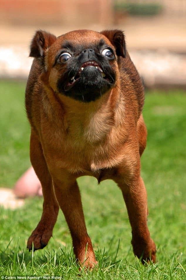 Reference image 1 for VEO_3_1 generation