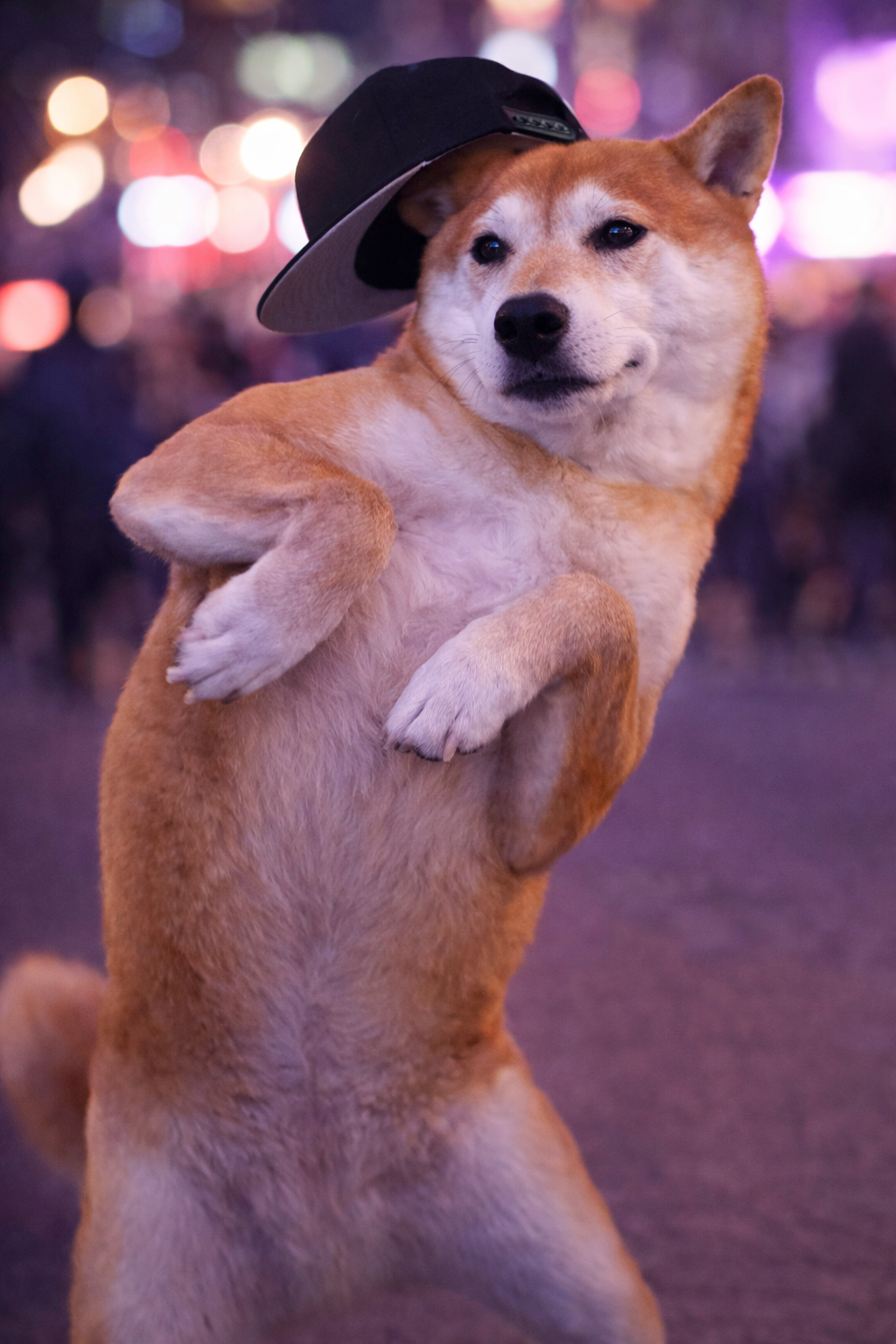 Reference image 1 for PIKA_2_2 generation