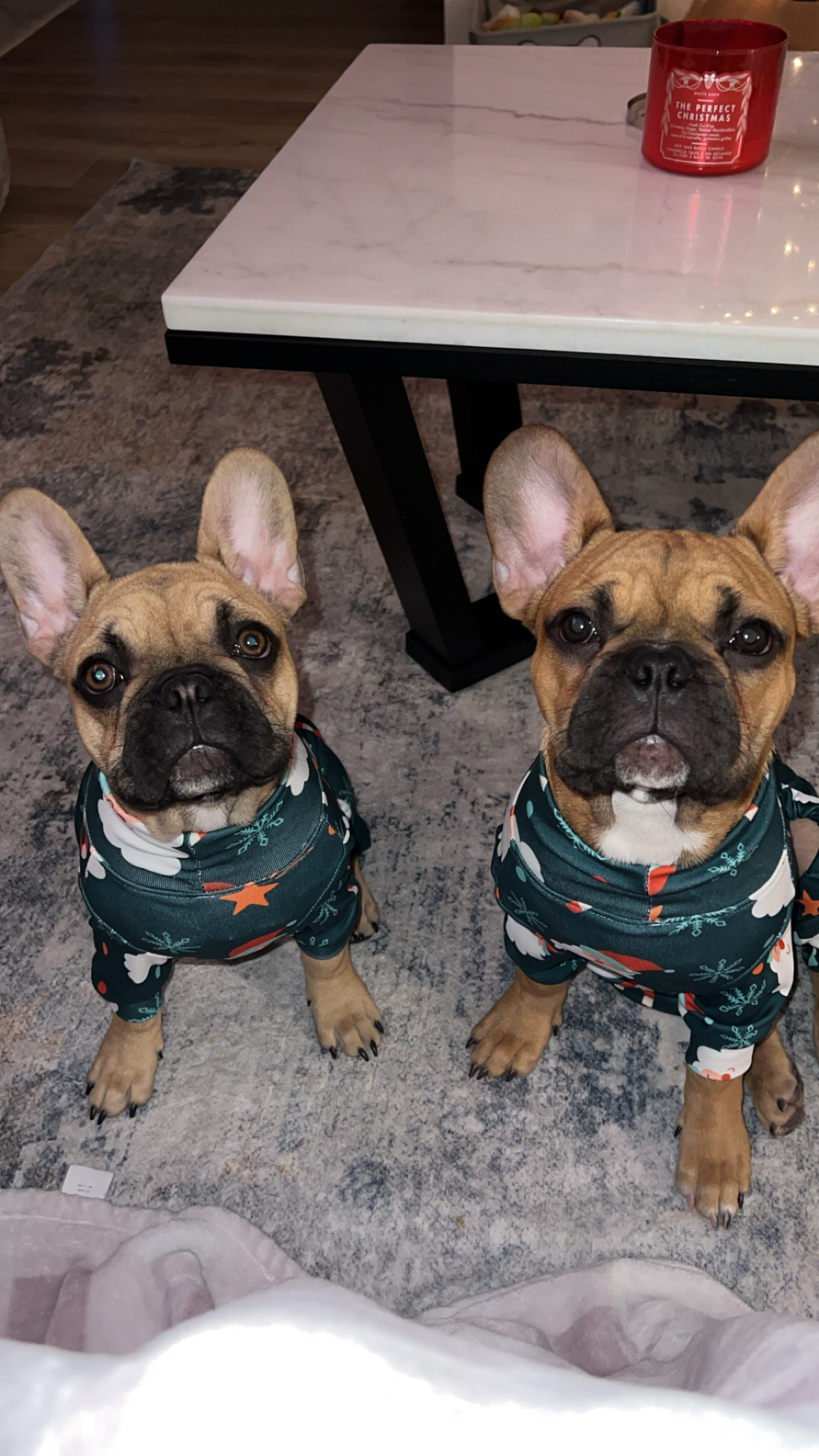 Reference image 1 for PIKA_2_2 generation