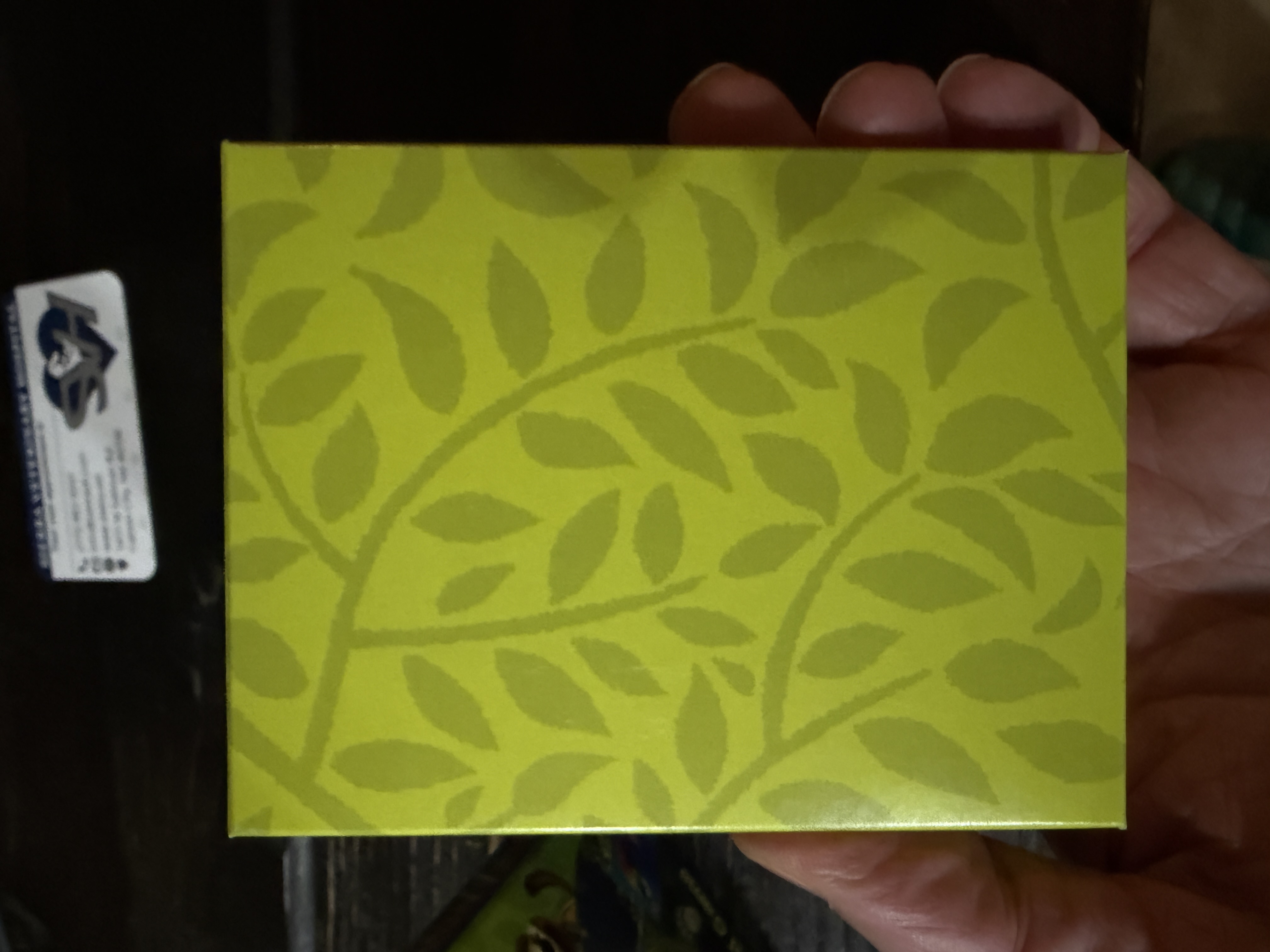 Reference image 6 for NANO_BANANA_PRO generation