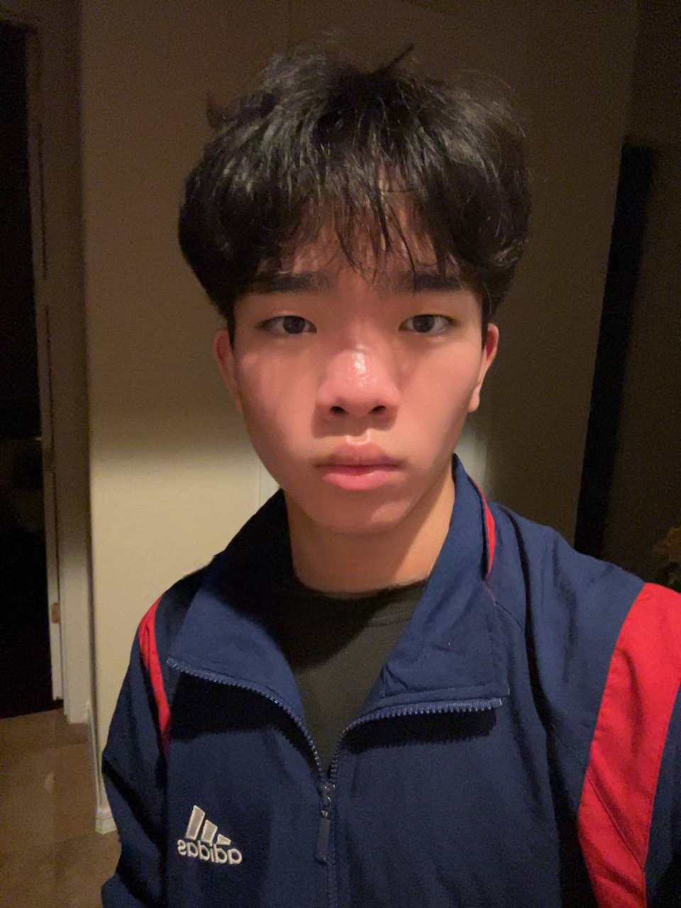 Reference image 1 for NANO_BANANA_PRO generation