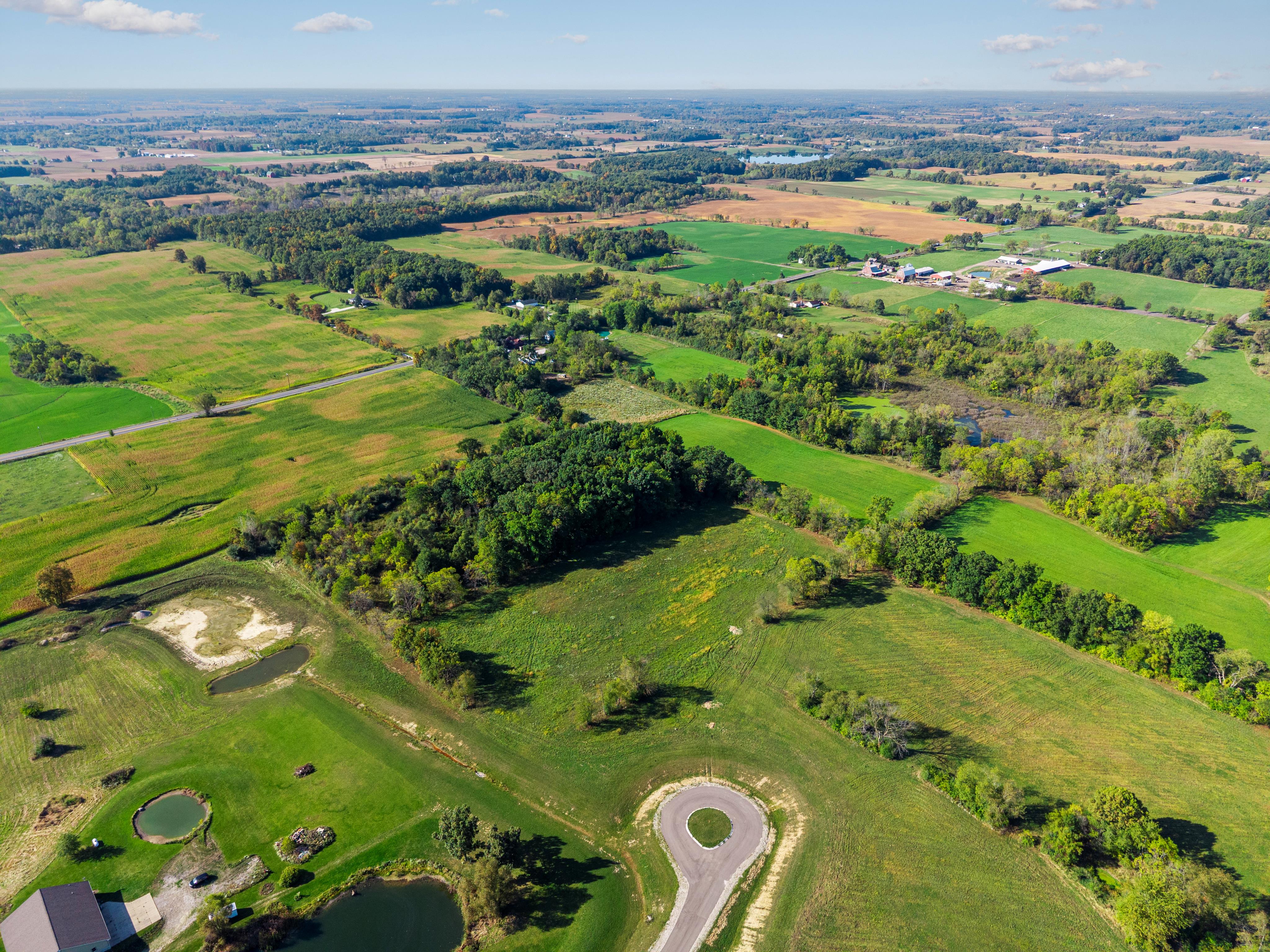 Reference image 2 for VEO_3_1 generation