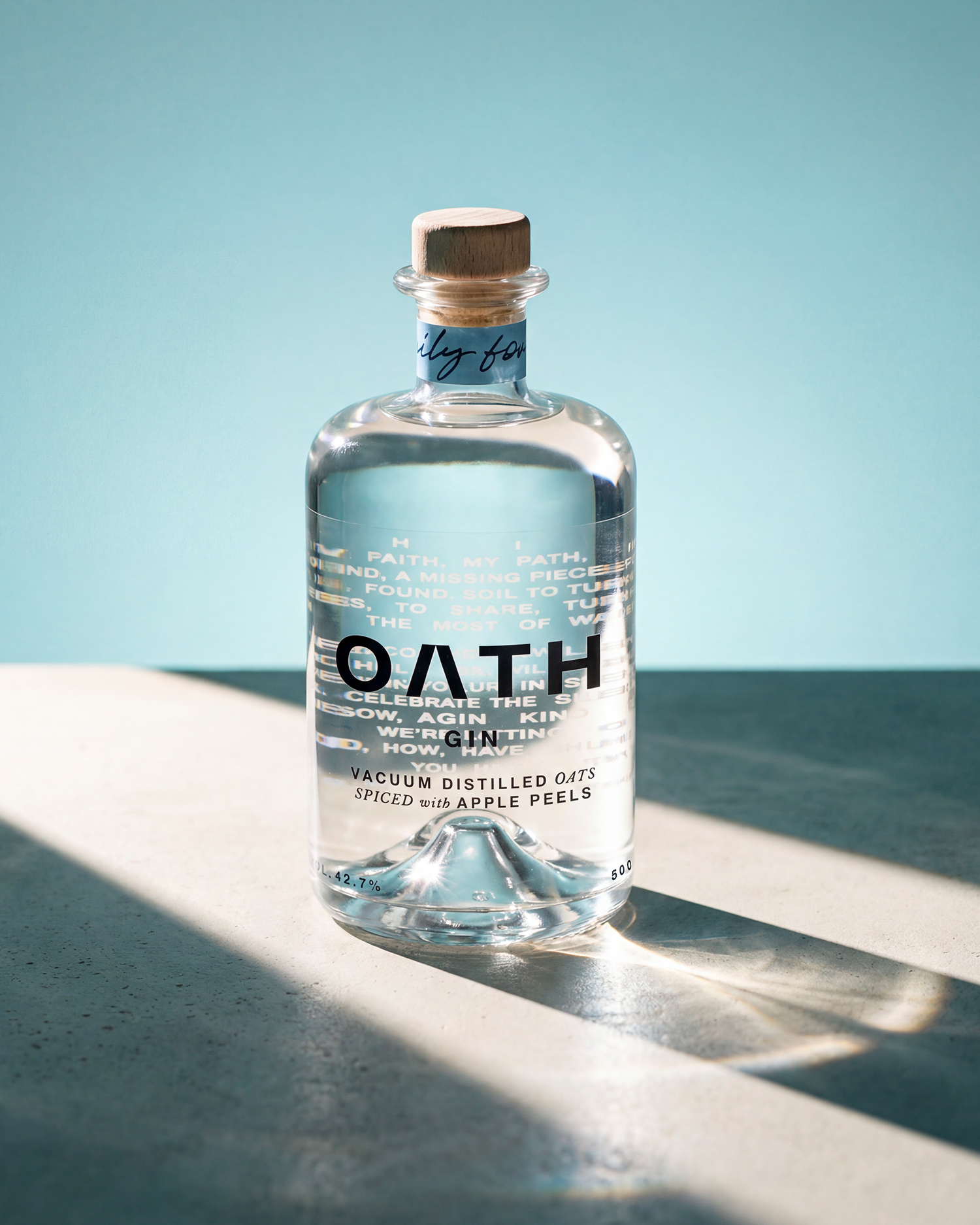 Reference image 1 for RUNWAY_4_5 generation