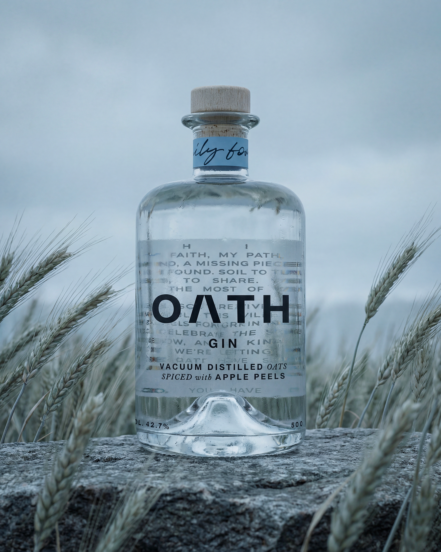 Reference image 1 for KLING_V2_1 generation