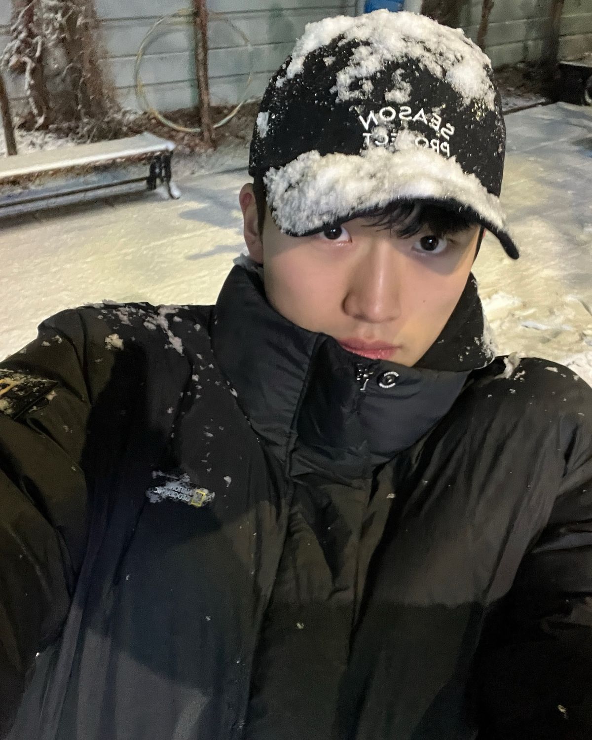 Reference image 2 for NANO_BANANA_PRO generation