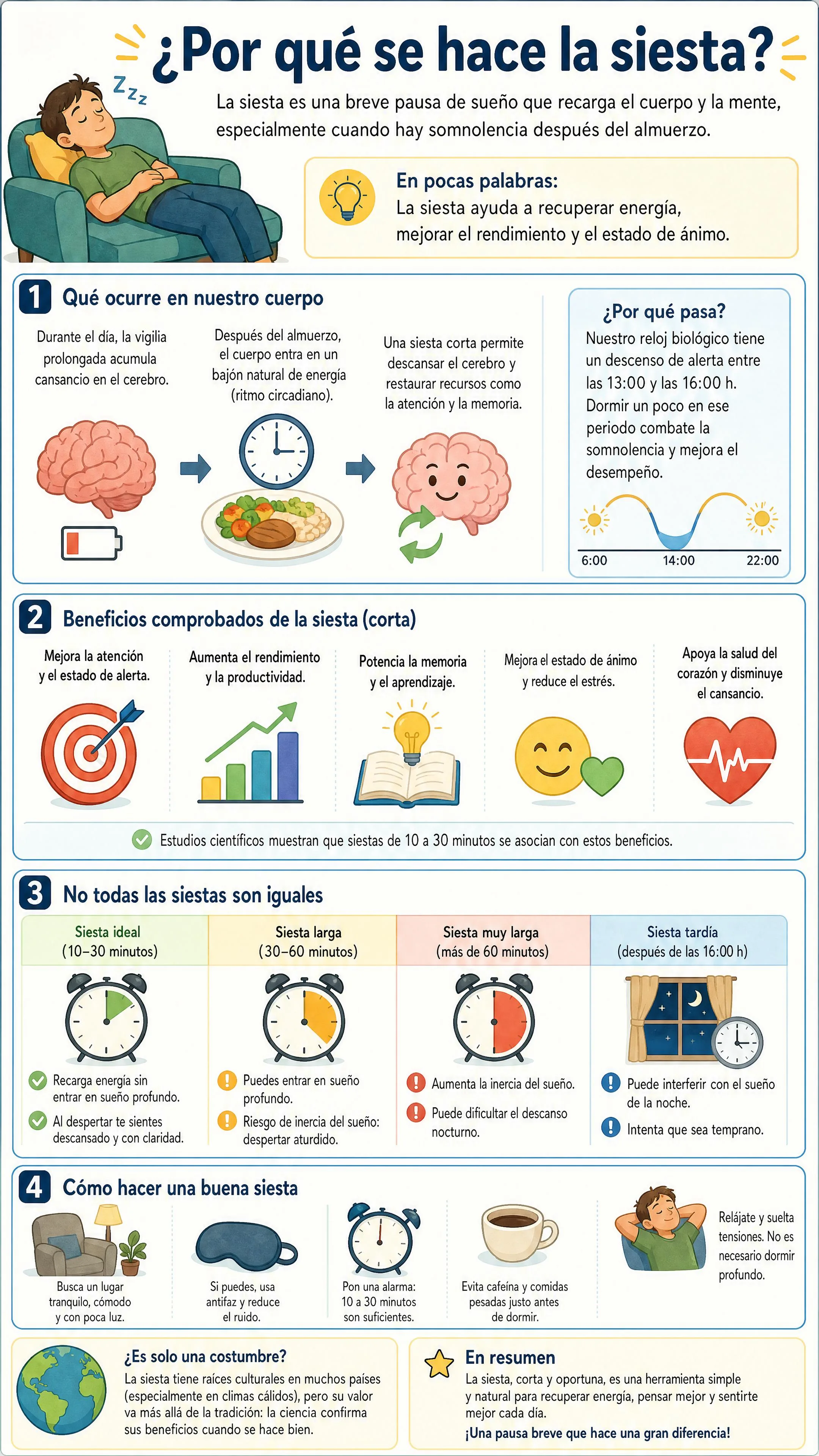 ¿Por qué se hace la siesta?
