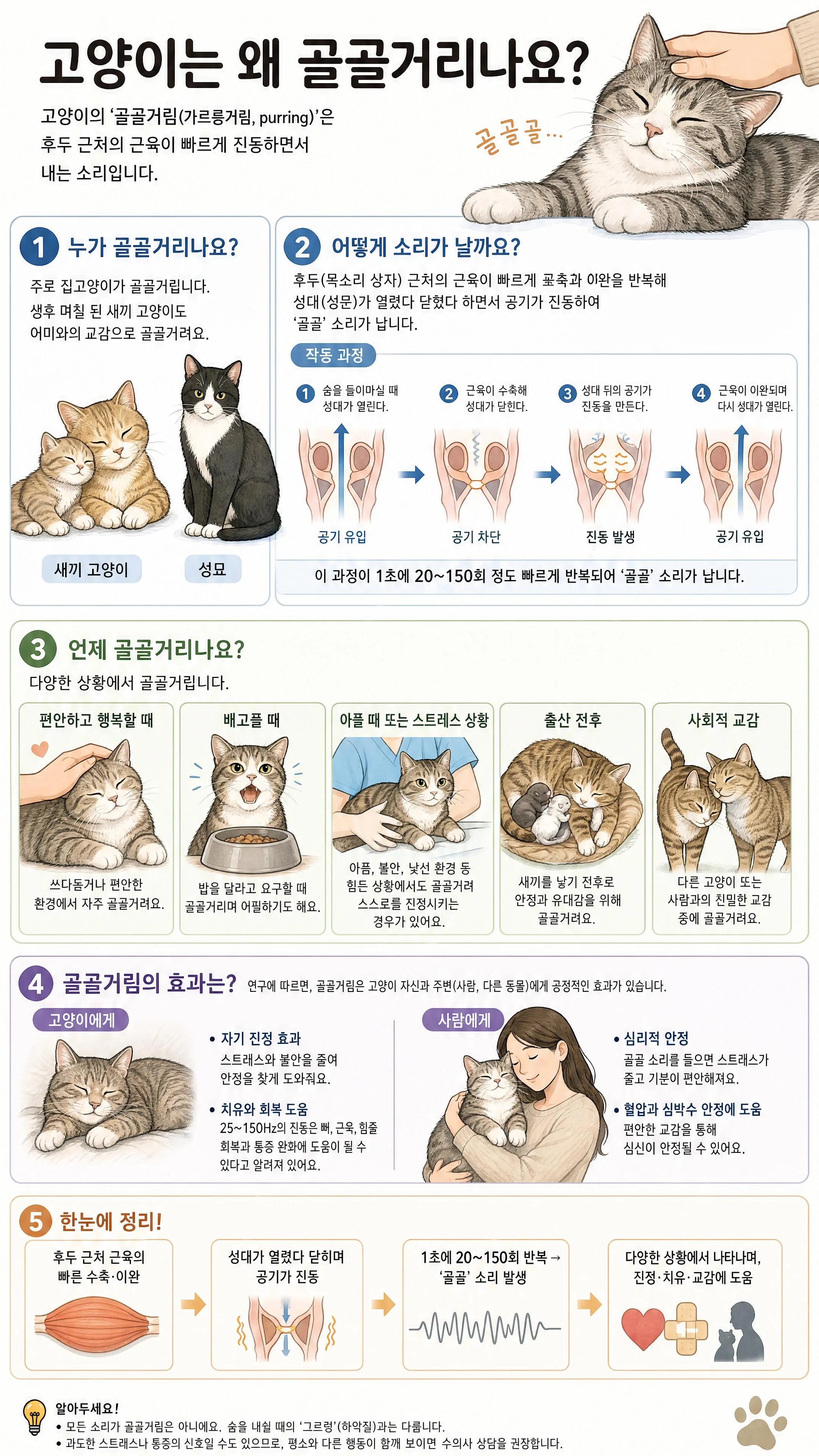 고양이는 왜 골골거리나요?