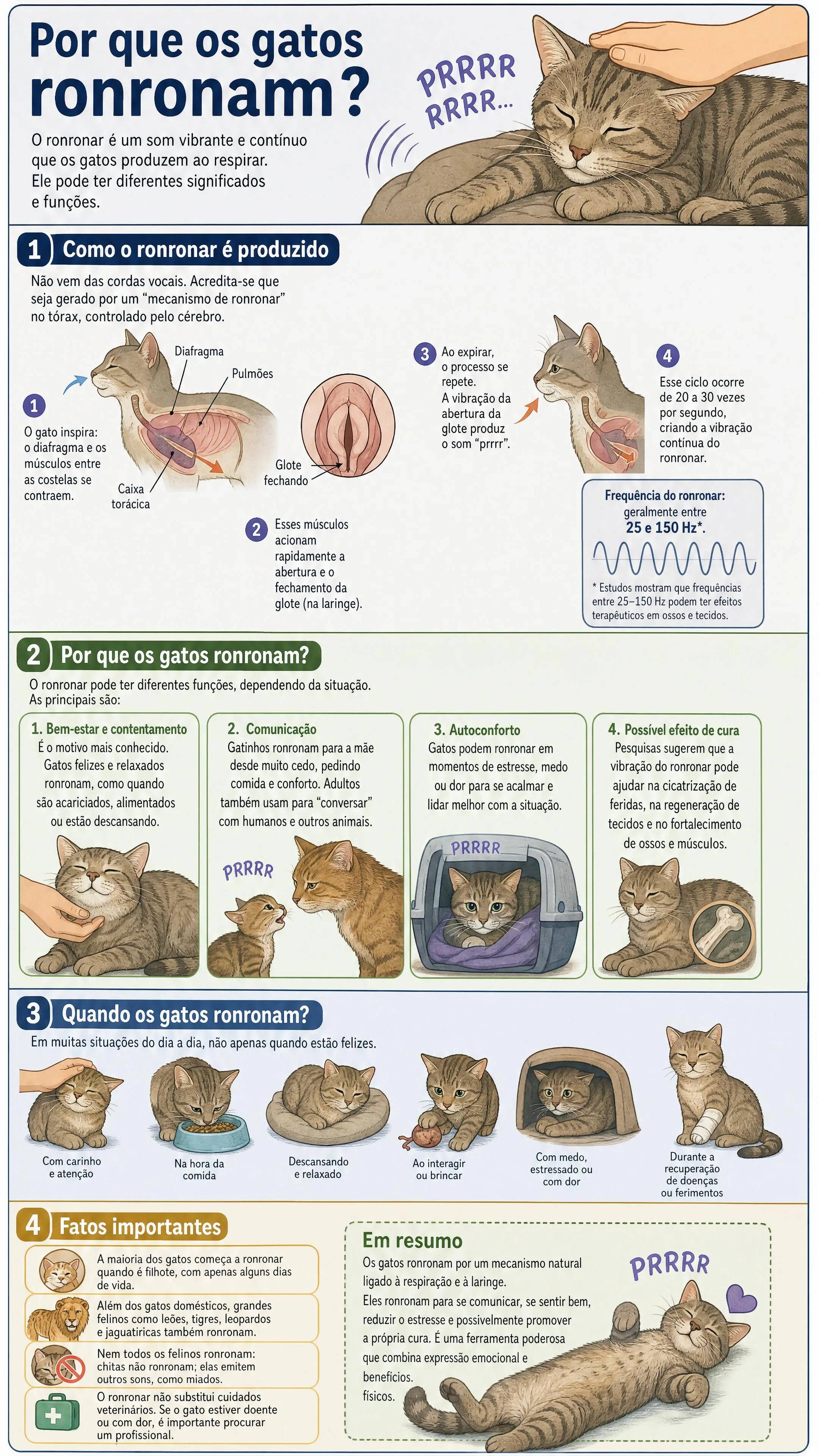Por que os gatos ronronam?