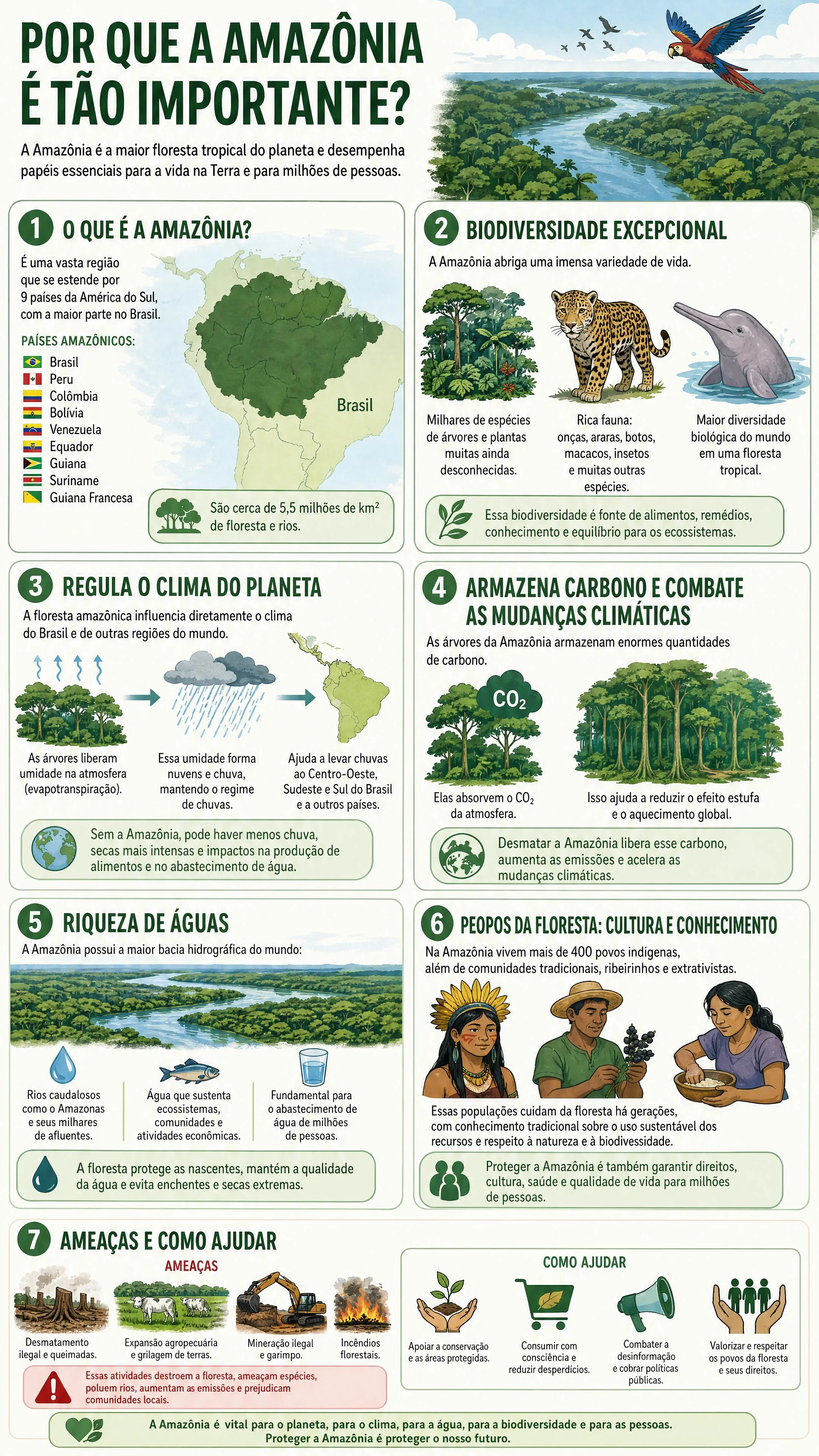 Por que a Amazônia é tão importante?