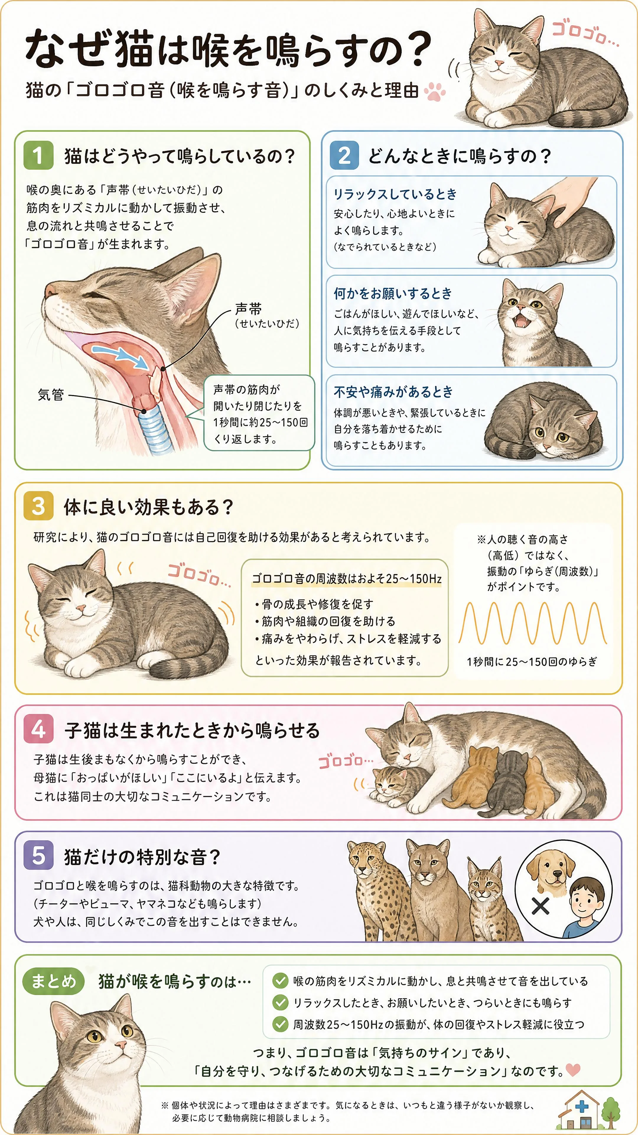 なぜ猫は喉を鳴らすの？