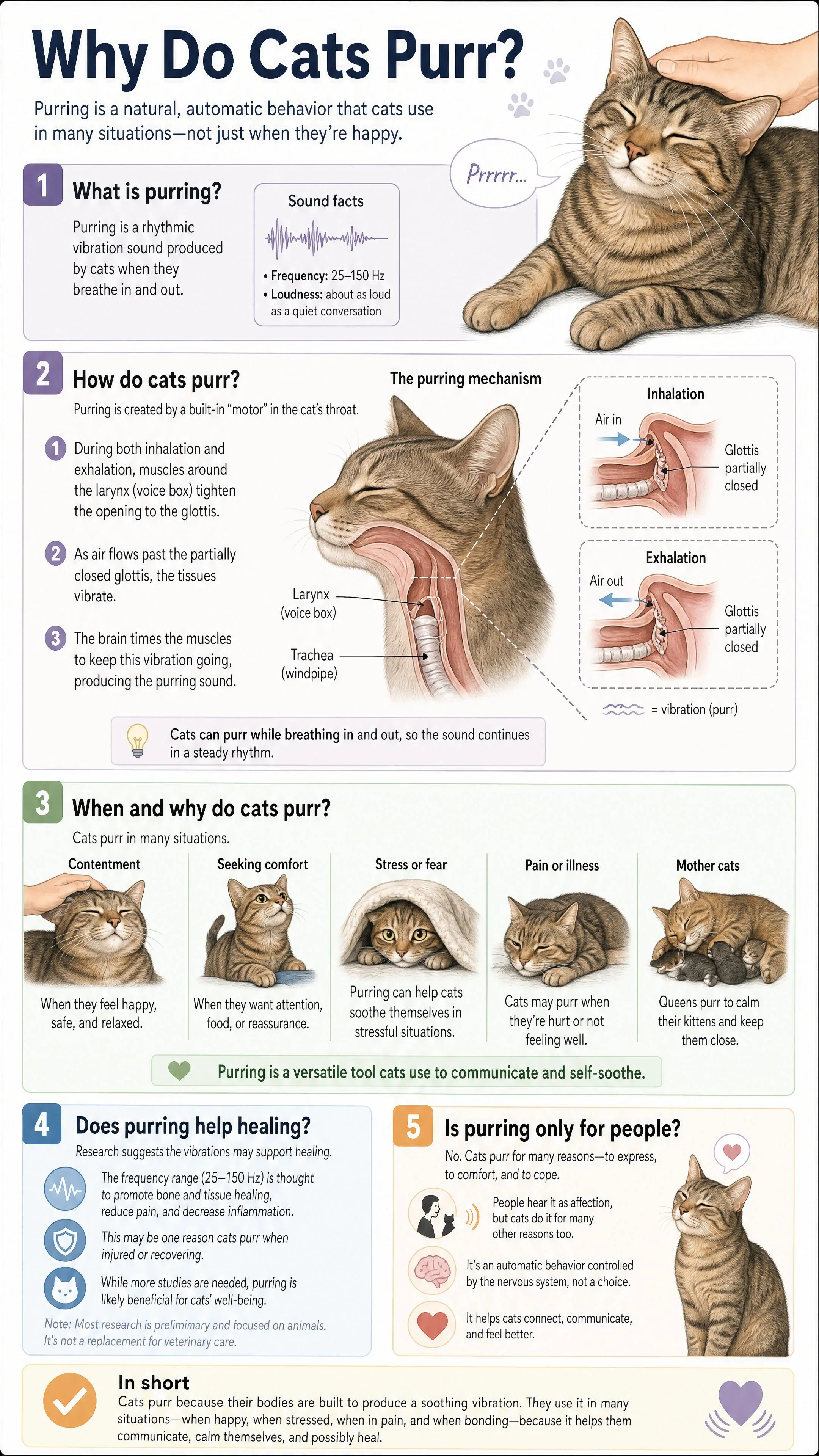 Why do cats purr?