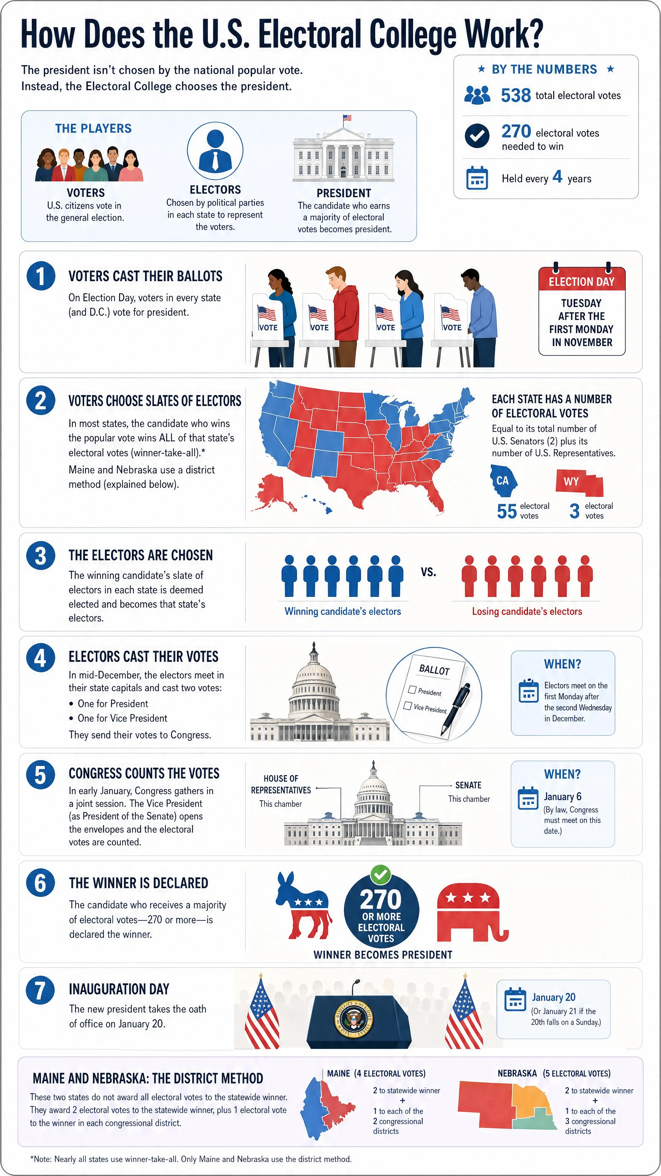 How does the US electoral college work?