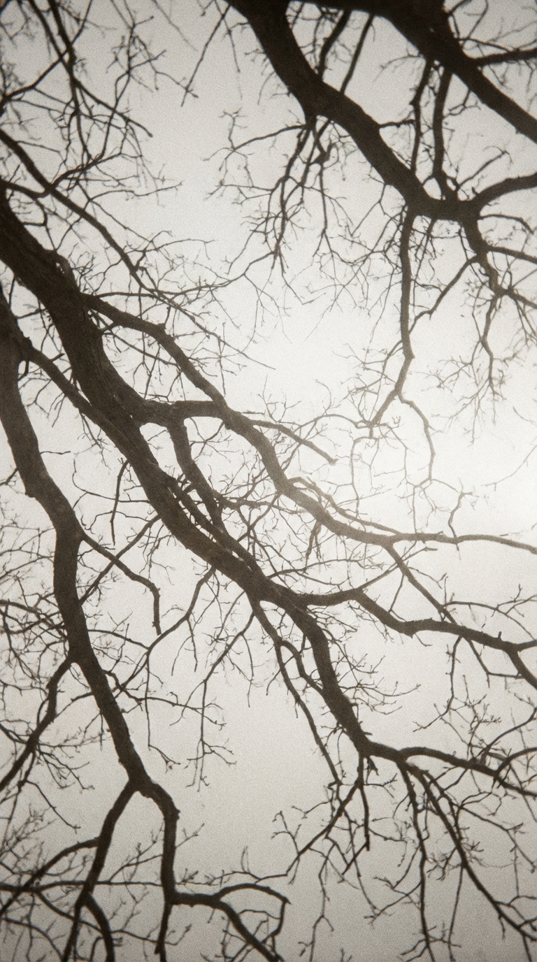 AI generated image using NANO_BANANA_PRO: bare tree branches against pale winter sky, minimalist composition, lo-fi photog...