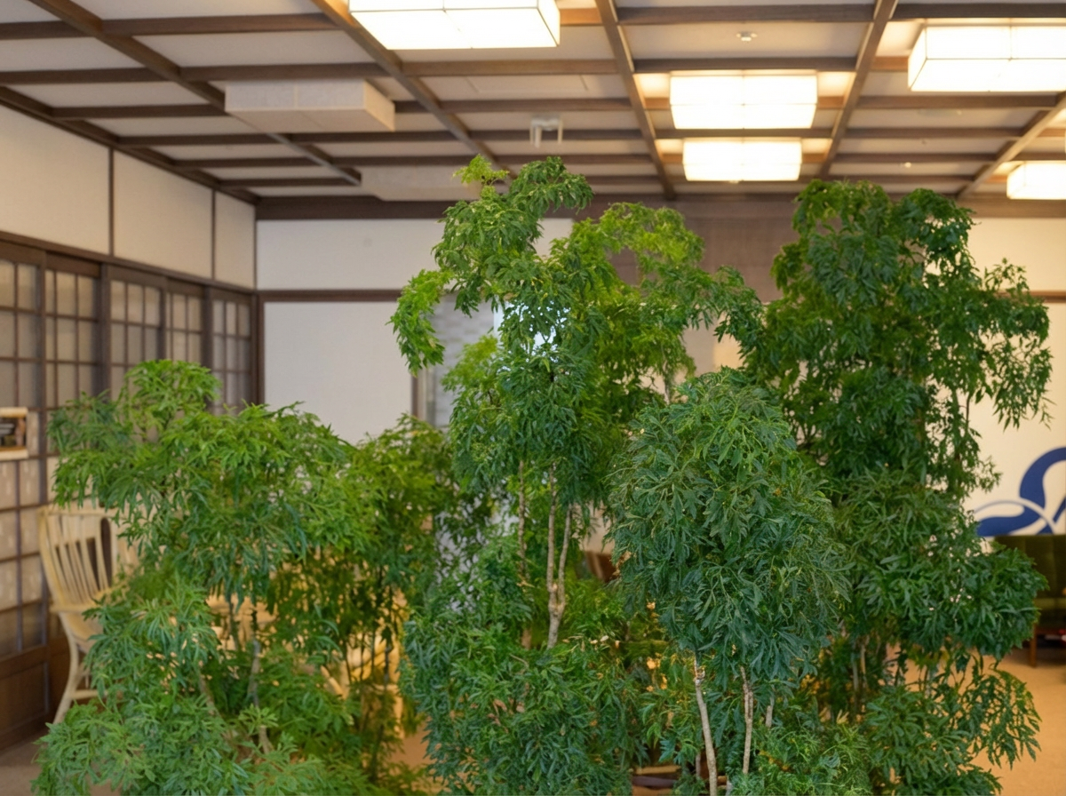 AI generated image using NANO_BANANA_PRO: I want you to cleanly remove the man in the photo.